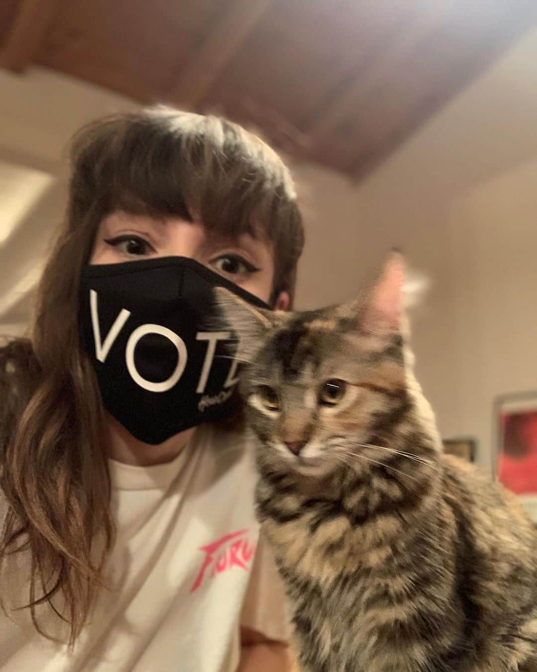 CHVRCHESさんのインスタグラム写真 - (CHVRCHESInstagram)「Cats hate taking photos but they like it when you vote (I assume). If you’re in the US and still need to register or want to check your information, head to @headcountorg 🖤」9月16日 0時19分 - chvrches