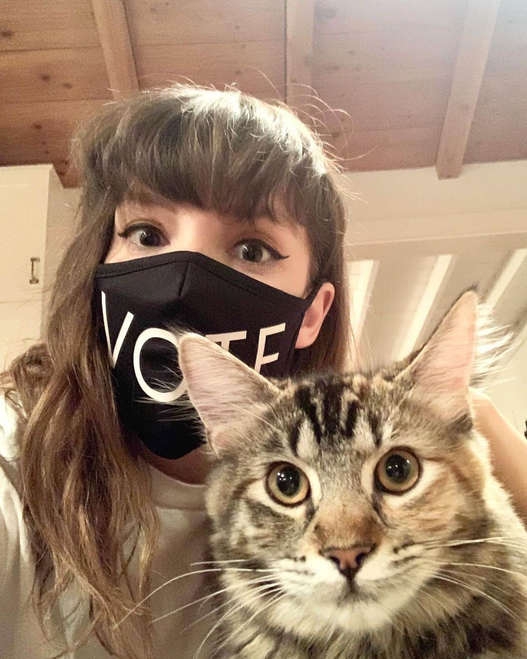 CHVRCHESさんのインスタグラム写真 - (CHVRCHESInstagram)「Cats hate taking photos but they like it when you vote (I assume). If you’re in the US and still need to register or want to check your information, head to @headcountorg 🖤」9月16日 0時19分 - chvrches