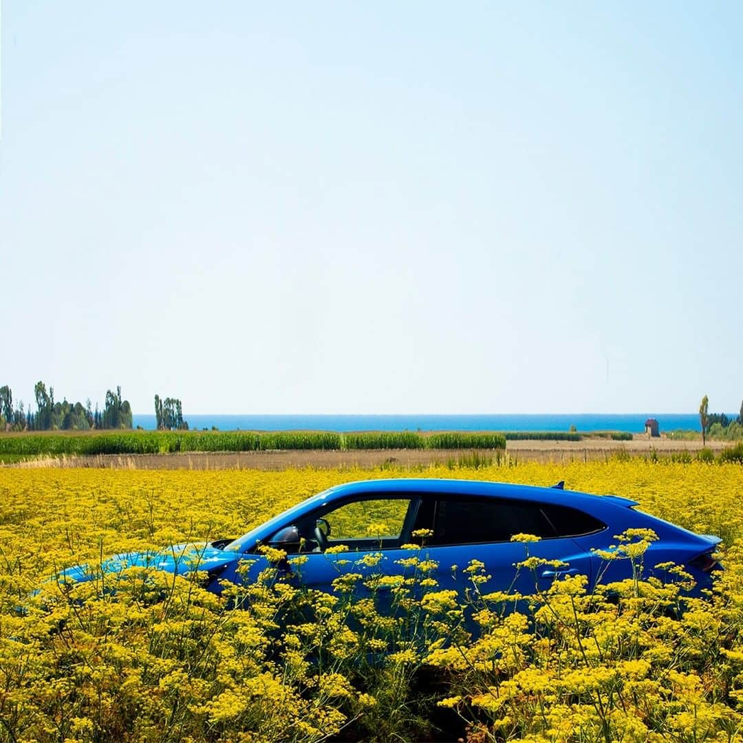 ランボルギーニさんのインスタグラム写真 - (ランボルギーニInstagram)「Beauty is a part of everyday life in Calabria, a land where the sea and mountains passionately interact with one another. With its phenomenal design and exquisite blue, the Urus appears to be at one with the 500-mile coastline that surrounds this beautiful region.  Captured by @guidotaroniphotographer.  #Lamborghini #Urus #UnlockAnyRoad #WithItalyForItaly #Calabria」9月16日 1時00分 - lamborghini