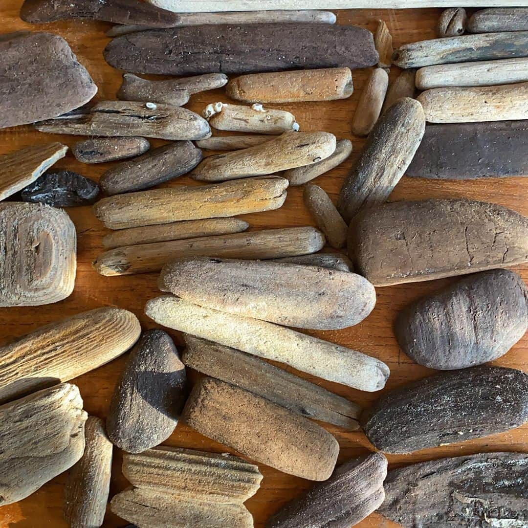 アムステルダム・タトゥー・ミュージアムのインスタグラム：「I love the beach#driftwood#ijmuiden#beach in」
