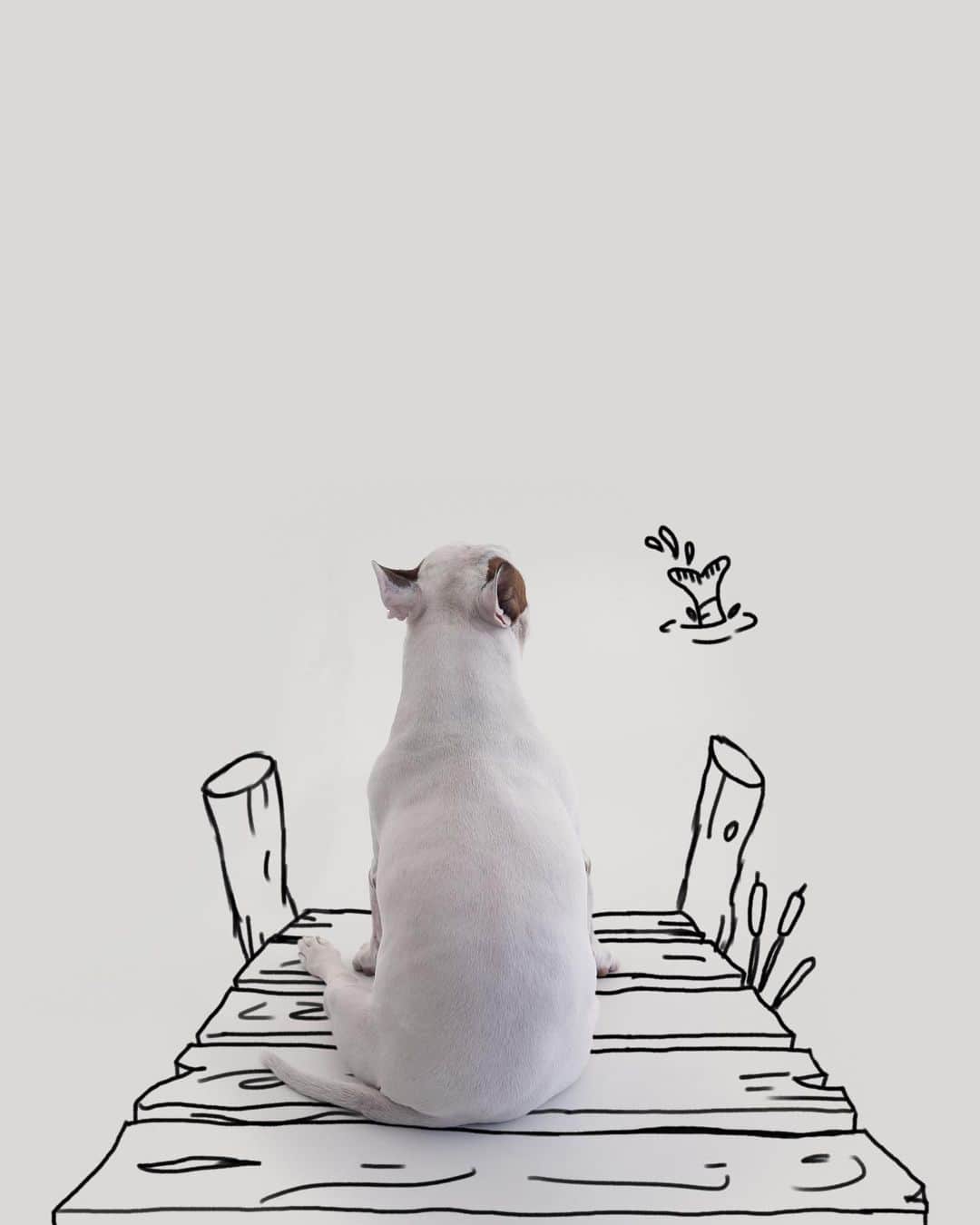 ラファエルのインスタグラム：「some people tremble at the idea of being alone. I dont understand. I love my solitude. my energy is never leeched; my feelings are never hurt, nobody to fuck with my time and space. I treat myself well, I entertain myself, but it’s peaceful and much more productive . .  algumas pessoas tremem so com a ideia de ficar sozinhas. eu nunca entendi.  Eu amo minha solitude. minha energia nunca eh sugada;  meus sentimentos nunca são feridos, ninguem para foder com meu tempo e espaço.  Eu me cuido bem, me divirto, eh muito mais tranquilo e produtivo」