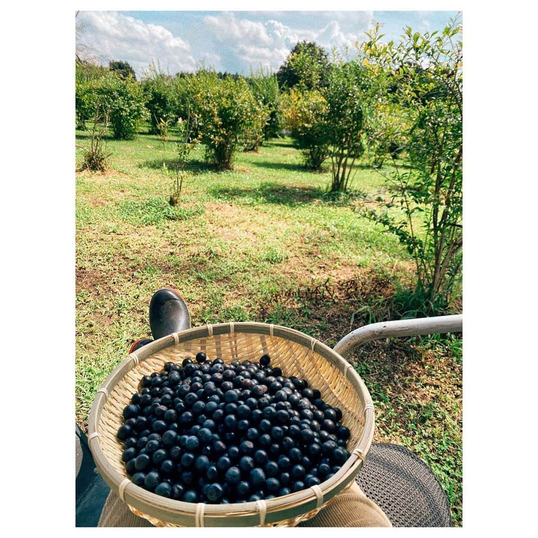 紗栄子のグルメインスタ