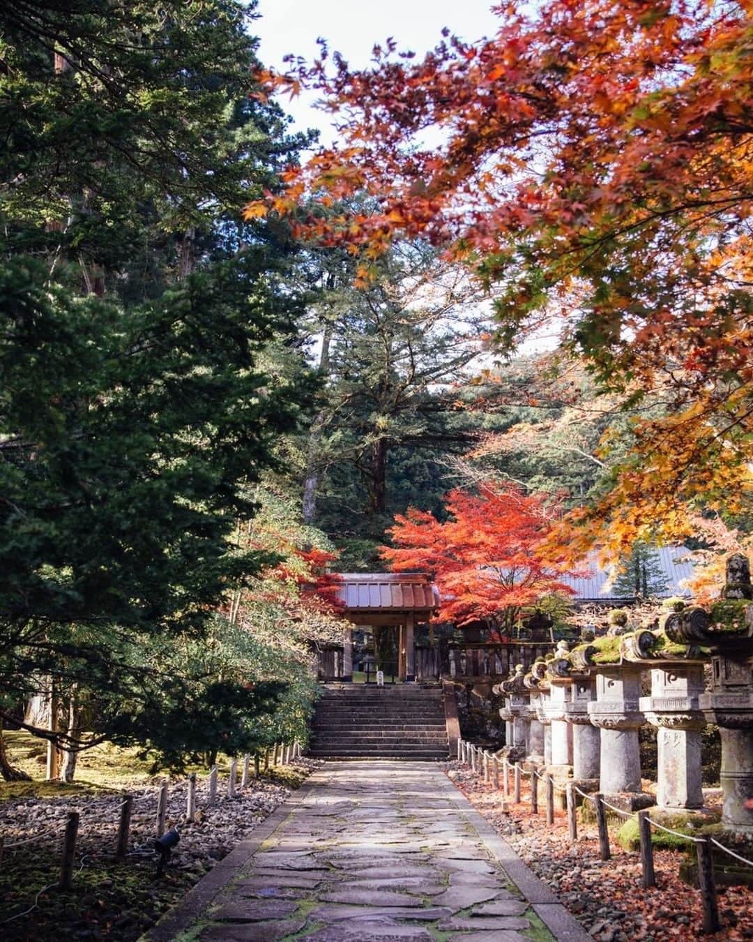 TOBU RAILWAY（東武鉄道）さんのインスタグラム写真 - (TOBU RAILWAY（東武鉄道）Instagram)「. . 🚩Nikkozan Rinnoji Temple - Nikko, Tochigi . . [Enjoy the autumn leaves at Nikkozan Rinnoji Temple!] . “Nikkozan Rinnoji Temple” is one of the most popular sightseeing spots in Nikko City, Tochigi Prefecture. During the autumn season, we recommend beautiful spots for viewing autumn leaves. You can visit the walking route between Taiyuin Temple and Shoyoen Garden. . . #visituslater #stayinspired #nexttripdestination . . . #nikko #tochigi #rinnojitemple #rinnoji #japantrip #travelgram #tobujapantrip #unknownjapan #jp_gallery #visitjapan #japan_of_insta #art_of_japan #instatravel #japan #instagood #travel_japan #exoloretheworld #ig_japan #explorejapan #travelinjapan #beautifuldestinations #toburailway #japan_vacations #japan_autumn #beautifuljapan #japanesegarden #temple」9月16日 15時00分 - tobu_japan_trip