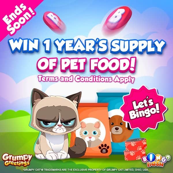Grumpy Catのインスタグラム：「Grumpy #Sweepstakes Ends Soon!  Download @bingobashofficial and play 1 round of #Bingo in our new Grumpy Greetings Bingo Room for the chance to WIN! Join FREE → https://smart.link/mlqd9he0t3pwt (Link in bio) NO PURCHASE NECESSARY Must be 18+. See Official Rules at https://bit.ly/3h10npv. Void where prohibited.  #GrumpyCat #Bingo #catsofinstagram #Contest」