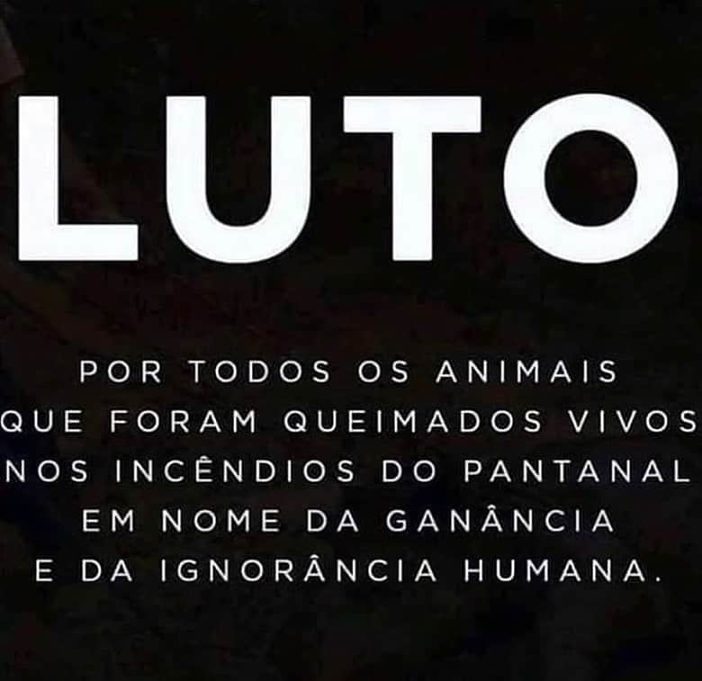 Giovanna Antonelliのインスタグラム：「🖤 #salvepantanal #AjudaPantanal #SOS」