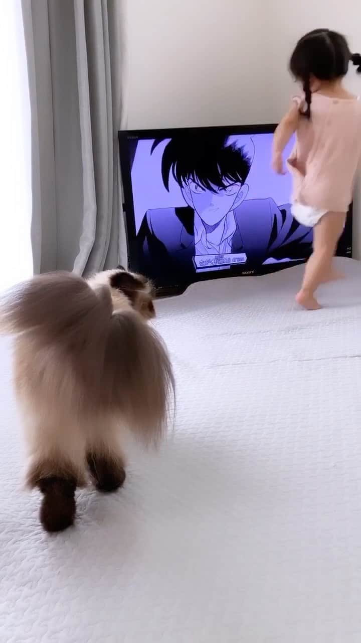 plumeのインスタグラム