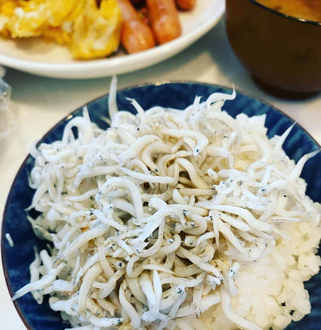 原口あきまささんのインスタグラム写真 - (原口あきまさInstagram)「いただきま〜す🙏  #朝食 #しらすご飯 #ぽん酢かけた #お歯よう #パワー注入」9月16日 7時26分 - akimasa_haraguchi