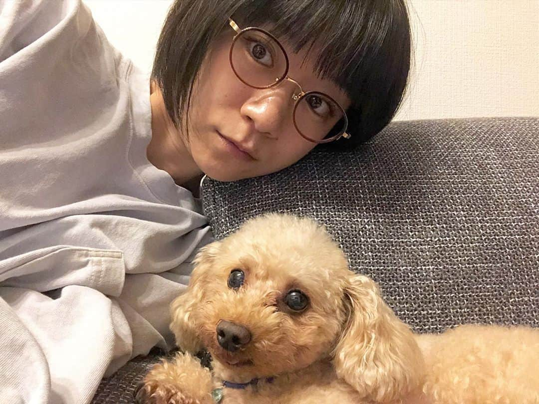 時東ぁみさんのインスタグラム写真 - (時東ぁみInstagram)「この子がいるから頑張れます♡ ・ 忙しくて相手しきれない時もあるけど、できるだけ愛犬くん優先♡ トイレもお風呂も全部ついてくるストーカー犬だけどwww ・ 二人でずーっと連載してる雑誌『cuun』見てくださいね♡ ・ #時東ぁみ #愛犬 #dog #愛息子 #息子 #彼氏 #男の子 #boy #トイプードル #toypoodle #2kg #9歳 #9yearsold #童顔 #天使 #イケメン #好き #愛してる #好きすぎる #世界一 #ストーカー犬 #いぬすたぐらむ #犬バカ部 #連載 #cuun #見てね」9月16日 7時55分 - amitokito