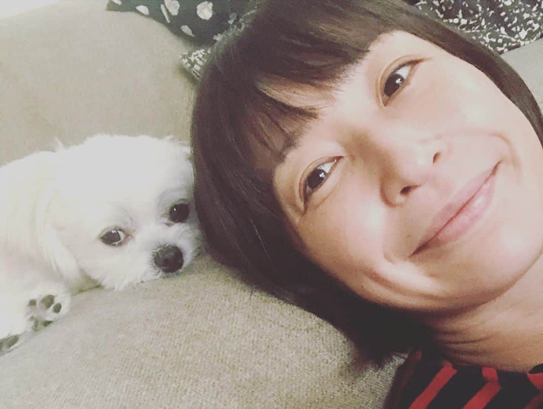 小野真弓さんのインスタグラム写真 - (小野真弓Instagram)「おはようございます^ ^ ハナちゃん、ちゅ😘 涼しくなって風も音もすっかり秋🎑✨ 家庭菜園、秋ナスシーズン🍆😋 こつこつ肥料を与えながら〜 4月の自粛期間ステイホームの恩恵✨ 未だ続いております〜(о´∀`о)🌱 ありがたやー🙏✨ #チワワ#ハナちゃん #チワマル#ハルくん #家庭菜園#秋ナス#ピーマン#今朝の収穫#千葉暮らし#犬のいる暮らし#田舎暮らし#doglover #食欲の秋#実りの秋  穏やかに、良い一日を🍁」9月16日 8時43分 - hanaharuaroi