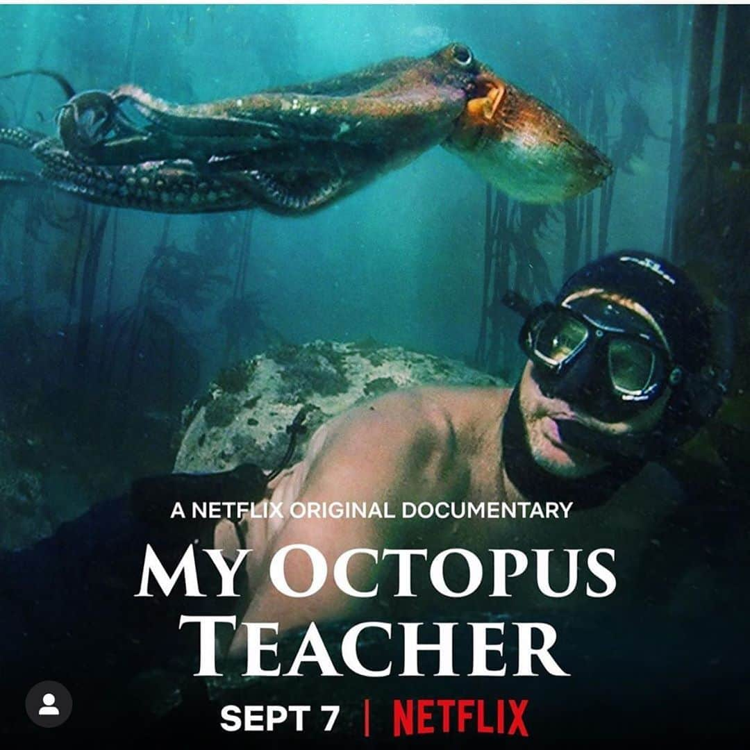 エイミー・シューマーさんのインスタグラム写真 - (エイミー・シューマーInstagram)「I really recommend this movie on @netflix I’m not joking. #myoctopusteacher」9月16日 8時53分 - amyschumer