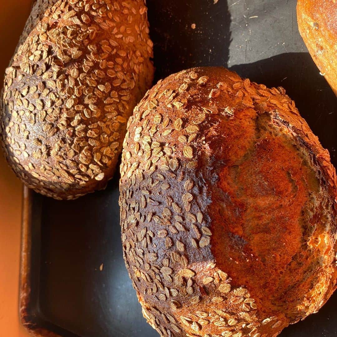 魔女菅原のグルメインスタ