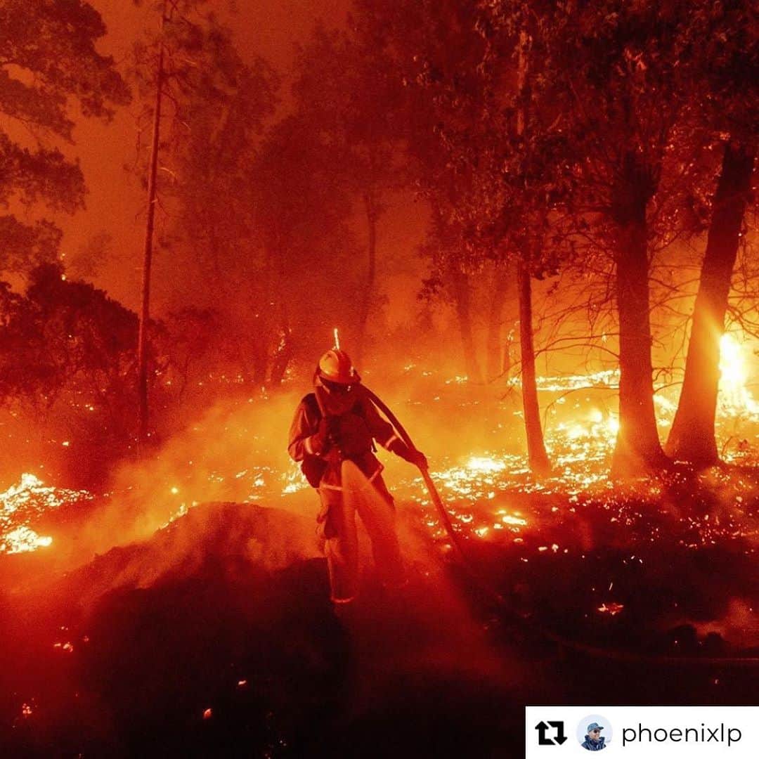 マイク・シノダのインスタグラム：「Repost from @phoenixlp • Currently, dozens of extreme fires are burning across North America. The scale and impact of this fire season is already unprecedented. The Fire Relief Fund needs your support to keep the firefighters and first responders safe in the line of duty, as well as the impacted communities. To learn more how you can help, please visit musicforrelief.org/firefund  📷: Noah Berger」