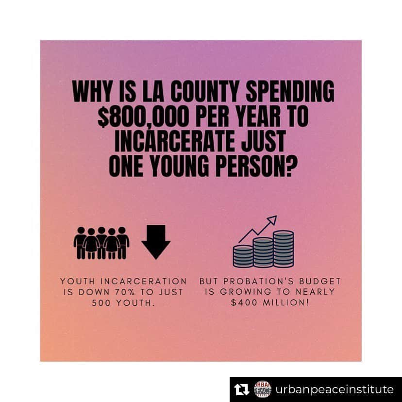 ポール・アデルスタインのインスタグラム：「Repost from @urbanpeaceinstitute • LA County must invest in youth, not a bloated budget. $800,000 can transform a young person’s life! Why is the Board of Supervisors investing in a punitive, outdated, and traumatizing system?」