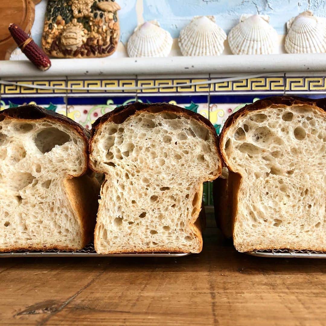 CHIPPRUSONのインスタグラム：「最近またパンが美味しくなったよね。発酵はどこまでも私を感動させてくれる。パン作りを始めて14年目の今日も、毎日が新しい発見に満ちているよ🍞💫」
