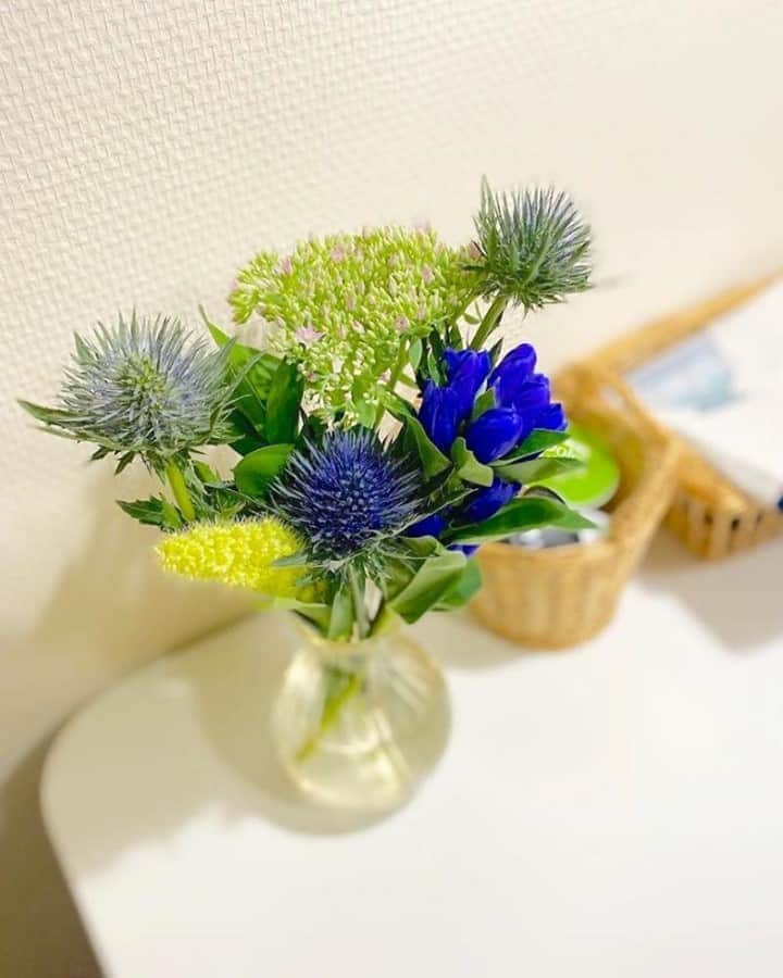Bloomee LIFEさんのインスタグラム写真 - (Bloomee LIFEInstagram)「深い青色のお花がぐっと大人っぽい印象✨⠀ ⠀ 上品な佇まいの"リンドウ"は⠀ お部屋をスッキリとみせてくれるので⠀ ゆったりと落ち着いたひとときを過ごせそう🌱⠀ ⠀ 旬のお花はお部屋の中で⠀ 季節の移ろいを楽しめますね🌼⠀ ⠀ @suu_zee_suu さんのお写真⠀ ⠀ #bloomeelife#ブルーミーライフ#お花の定期便#プチブーケ#サブスク#花のある生活#花好きな人と繋がりたい#おうち時間#花部#花写真#花が好き#花を飾る#暮らしを楽しむ#日々の暮らし#丁寧な暮らし#日々#お花のある暮らし#素敵な休日#暮らしを整える#くらしのきほん#日々の暮らしを楽しむ#丁寧に暮らす#おうち時間#インテリアフラワー#ナチュラルインテリア#豊かな暮らし」9月16日 10時48分 - bloomee