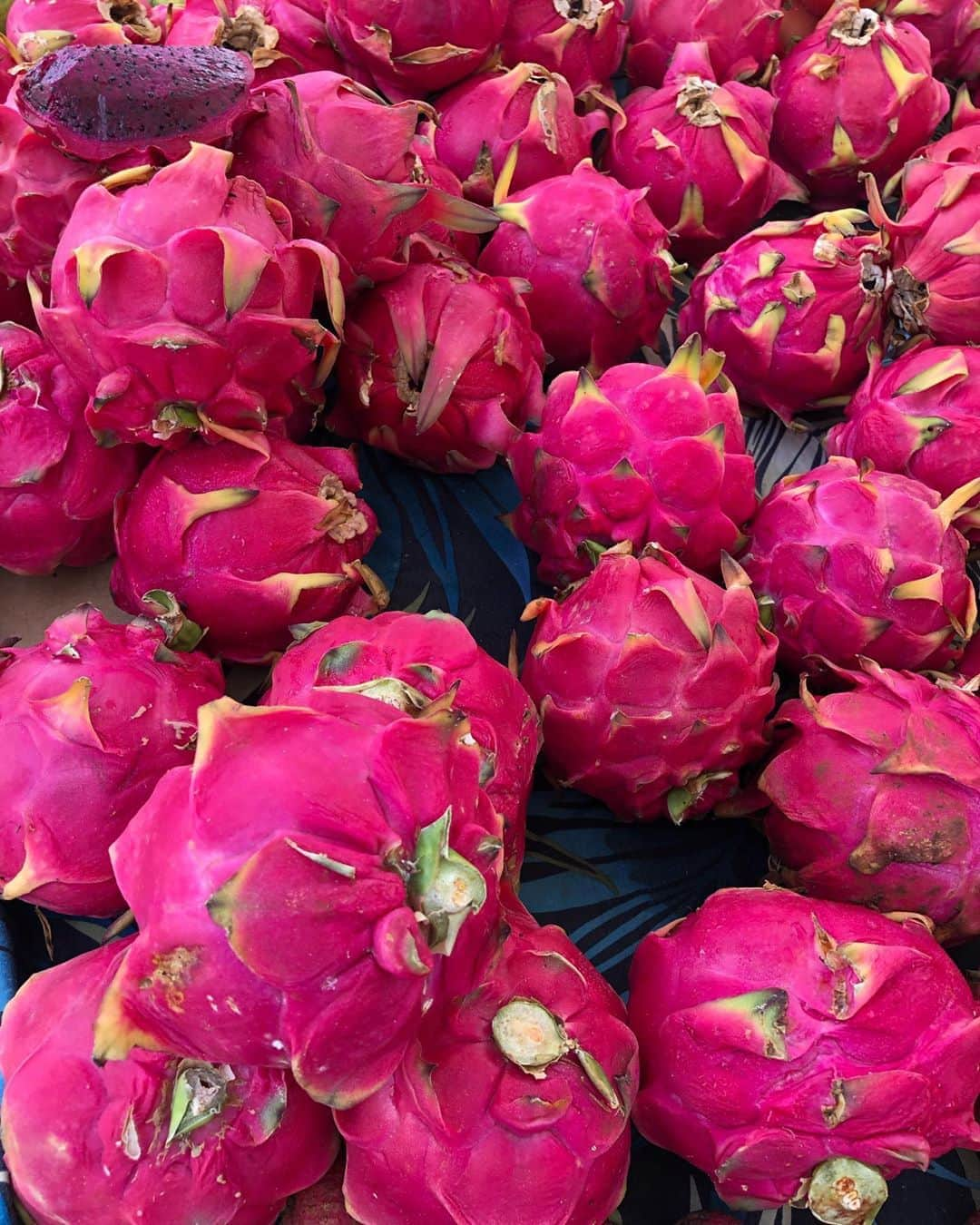 Honolulu Myohoji Missionさんのインスタグラム写真 - (Honolulu Myohoji MissionInstagram)「🍹 Get seasonal fruits! Lychee and mango season is over... now dragon fruits are more popular! Seasonal fruits are very beneficial for your body - for example, dragon fruits  are rich in vitamin C, meaning that it will heal your skin quickly! Let us nourish our body with seasonal fruits!   * * * * #ハワイ #ハワイ好きな人と繋がりたい  #ハワイだいすき #ハワイ好き #ハワイに恋して #ハワイ大好き #ハワイ生活 #ハワイ行きたい #ハワイ暮らし #オアフ島 #ホノルル妙法寺 #HawaiianAirlines #ハワイアン航空 #思い出　#honolulumyohoji #honolulumyohojimission #御朱印女子 #開運 #穴場 #パワースポット #hawaii #hawaiilife #hawaiian #luckywelivehawaii #hawaiiliving #hawaiistyle #hawaiivacation」9月16日 12時02分 - honolulumyohoji