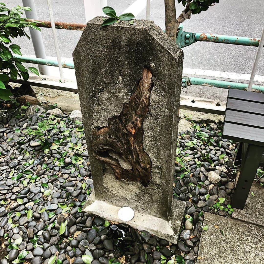 のインスタグラム：「縁切り榎。」