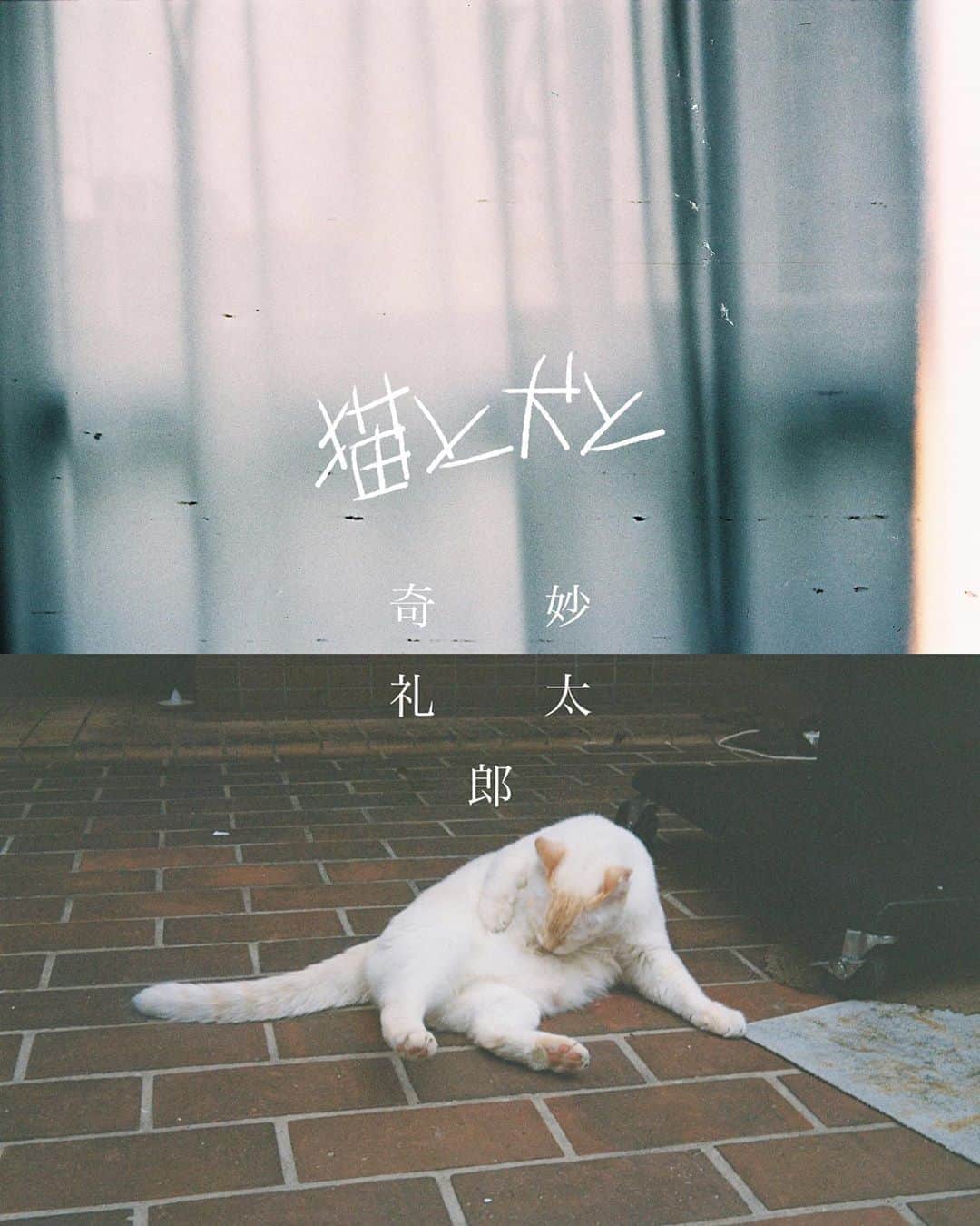 奇妙礼太郎のグルメインスタ