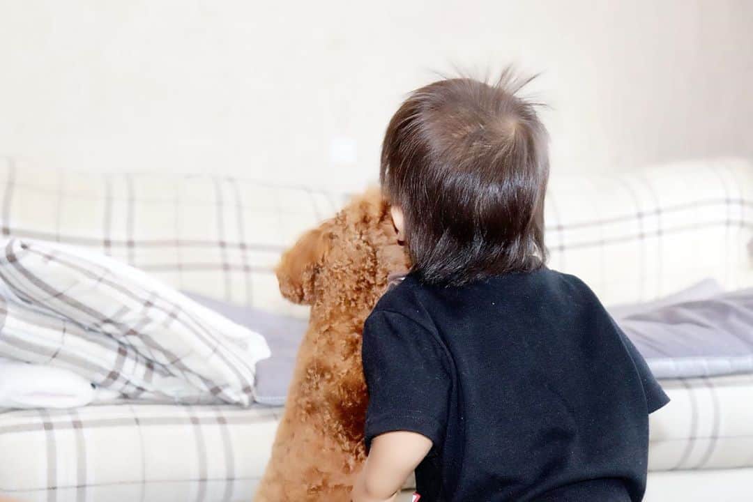Momoeのインスタグラム：「数ヶ月前まで逃げ待ってたとは 思えないくらい 距離縮めてた(´^ω^`)💓  . .  #happy #家事 #育児 #family #家族 #boy #smile #男の子 #息子 #code #love #lucky #kids #子供 #thankyou #宝物 #ベビー #fashion #follow #心 #縁 #パパ #ママ #家族写真 #男の子ママ #赤ちゃん写真 #photo #子育て #1歳 #flower」