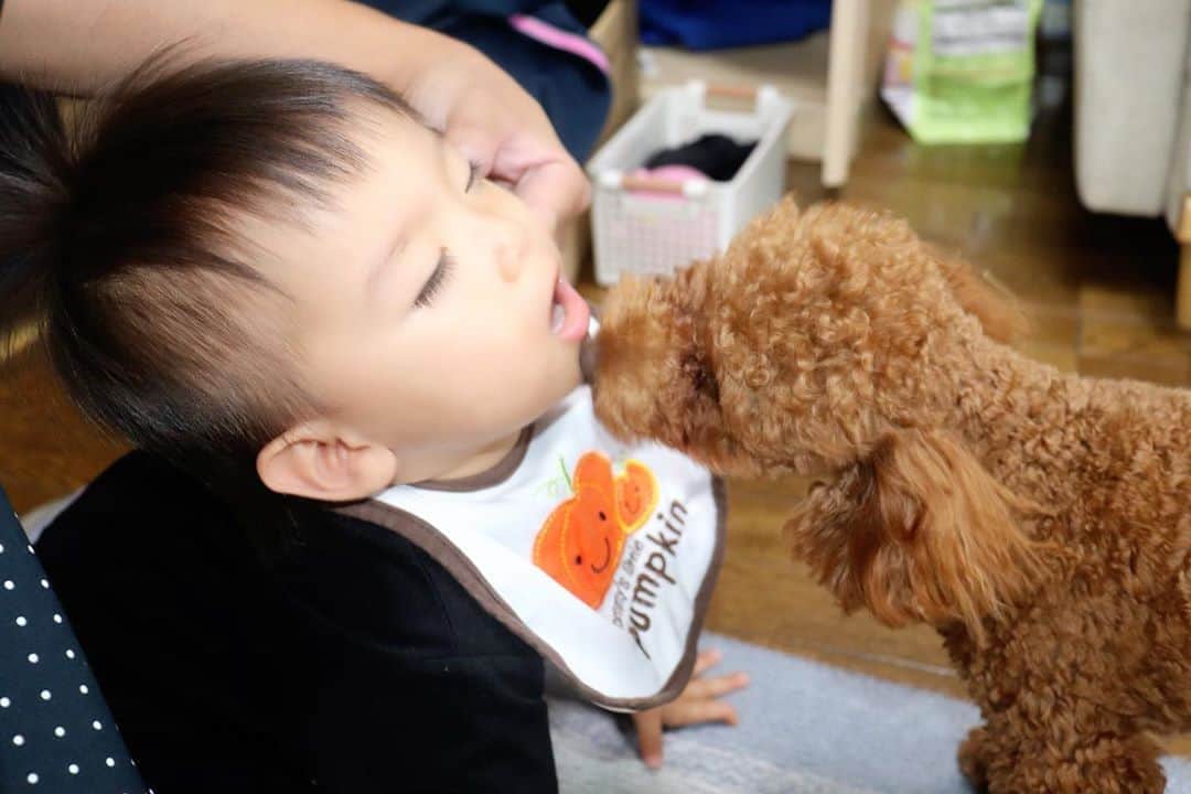 Momoeのインスタグラム：「もう距離縮めすぎてね、 ラムキス待ち。  . .  #happy #家事 #育児 #family #家族 #boy #smile #男の子 #息子 #code #love #lucky #kids #子供 #thankyou #宝物 #ベビー #fashion #follow #心 #縁 #パパ #ママ #家族写真 #男の子ママ #赤ちゃん写真 #photo #子育て #1歳 #flower」