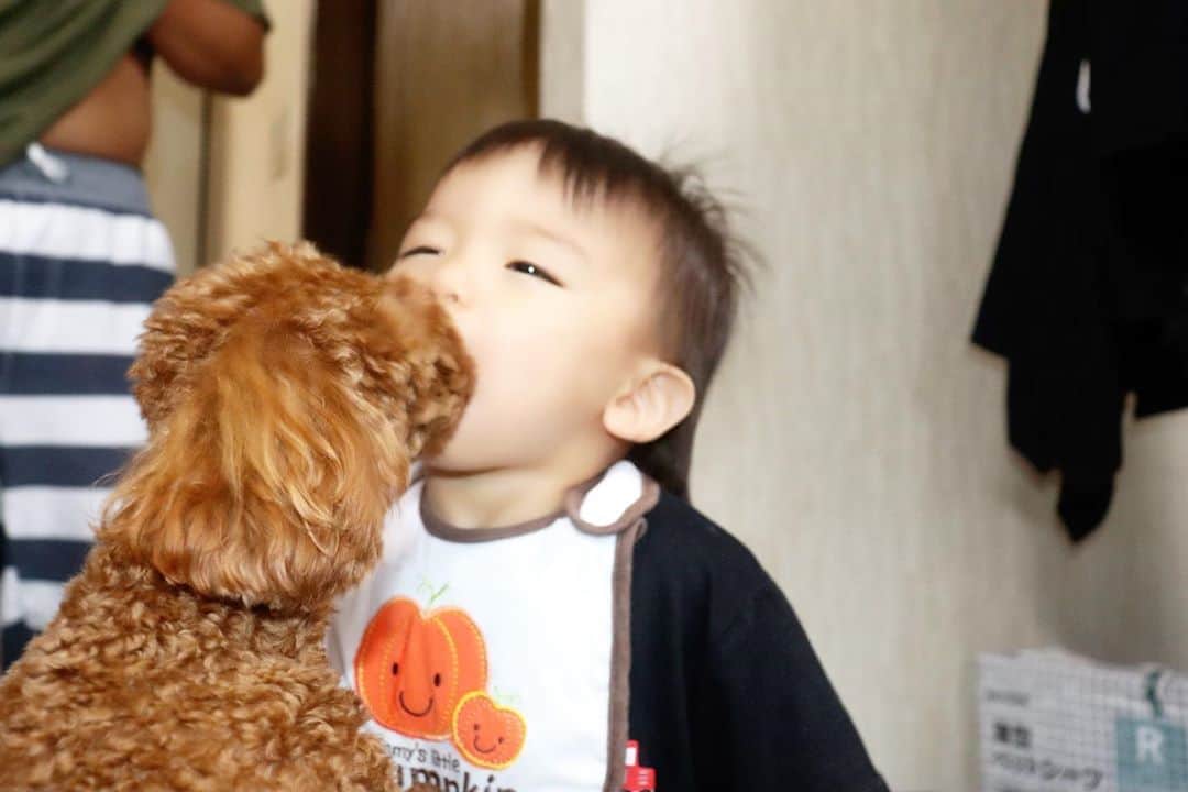 Momoeのインスタグラム：「もうチューじゃ物足りなくて 食っちゃう。 何より後ろの腹が気になる。  . .  #happy #家事 #育児 #family #家族 #boy #smile #男の子 #息子 #code #love #lucky #kids #子供 #thankyou #宝物 #ベビー #fashion #follow #心 #縁 #パパ #ママ #家族写真 #男の子ママ #赤ちゃん写真 #photo #子育て #1歳 #flower」