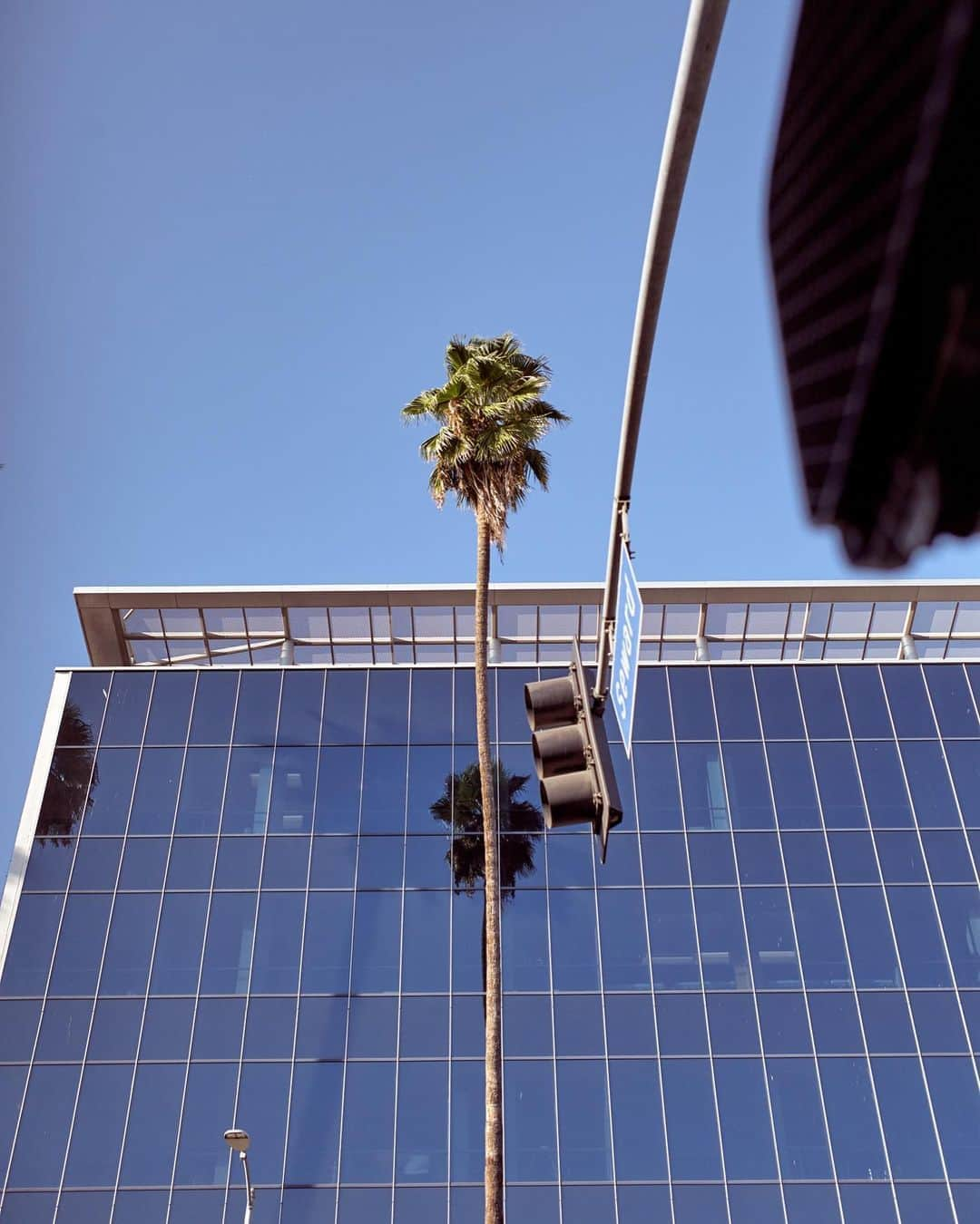 コモノさんのインスタグラム写真 - (コモノInstagram)「Watching the summer fade away 🌴⁠🚦⁠⠀ ⠀⁠⠀ ⠀⁠⠀ #summer #californiaadventure #sunsetboulevard #summercollection #citylandscape #losangelescity #summervibes #newkidsintown #youngster #free #young #journey #palmtree #palmtrees #summerfade #fashion #komono」9月16日 23時53分 - komono