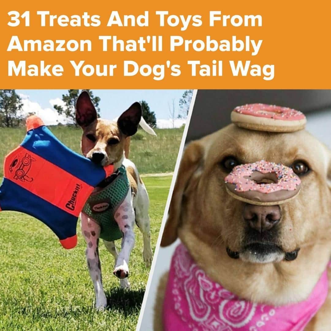 BuzzFeedさんのインスタグラム写真 - (BuzzFeedInstagram)「From @BuzzFeedPets- From organic doggie macarons to indestructible chew toys, these are sure to make your pup's day. Link in bio 👆」9月17日 0時00分 - buzzfeed