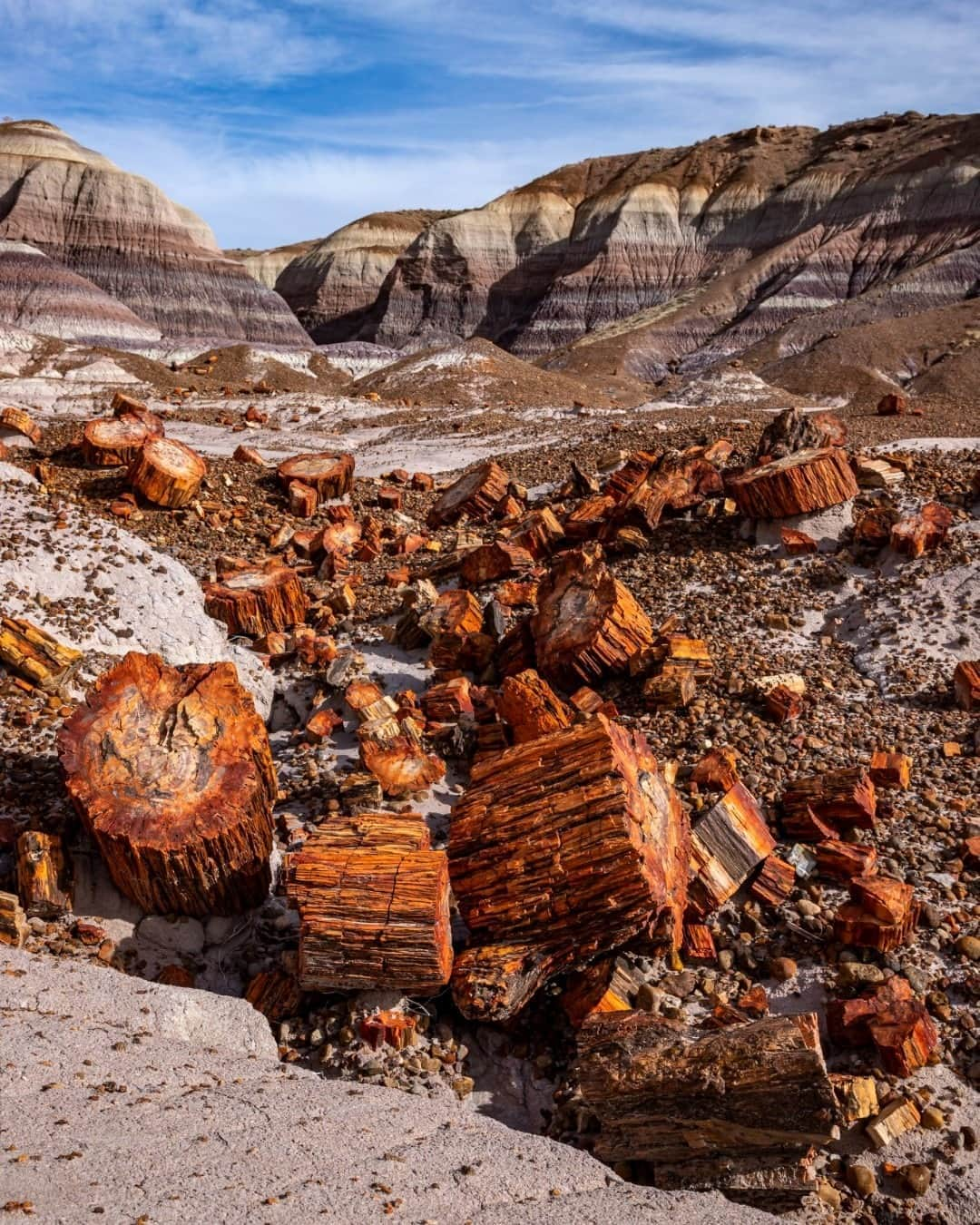 アメリカ内務省さんのインスタグラム写真 - (アメリカ内務省Instagram)「Walking between the rolling clay hills at Petrified Forest National Park in #Arizona, you can stumble onto a scene that looks like a lumberjack went mad. But this wasn't the work of an axe or saw. Over 200 million years ago, fallen trees washed into an ancient river system and were buried quickly enough that oxygen was cut off and decay slowed. Minerals, absorbed into the porous wood over thousands of years, crystallized and replaced the organic material forming what we call petrified wood. The crystals are hard and brittle, fracturing easily when subjected to stress. Over time, the still buried petrified trees broke like glass rods -- giving the appearance today of logs cut with a chainsaw. Photo @PetrifiedForestNPS by Jacob Holgerson, #NationalPark Service. #PetrifiedForest #science #usinterior」9月17日 0時21分 - usinterior