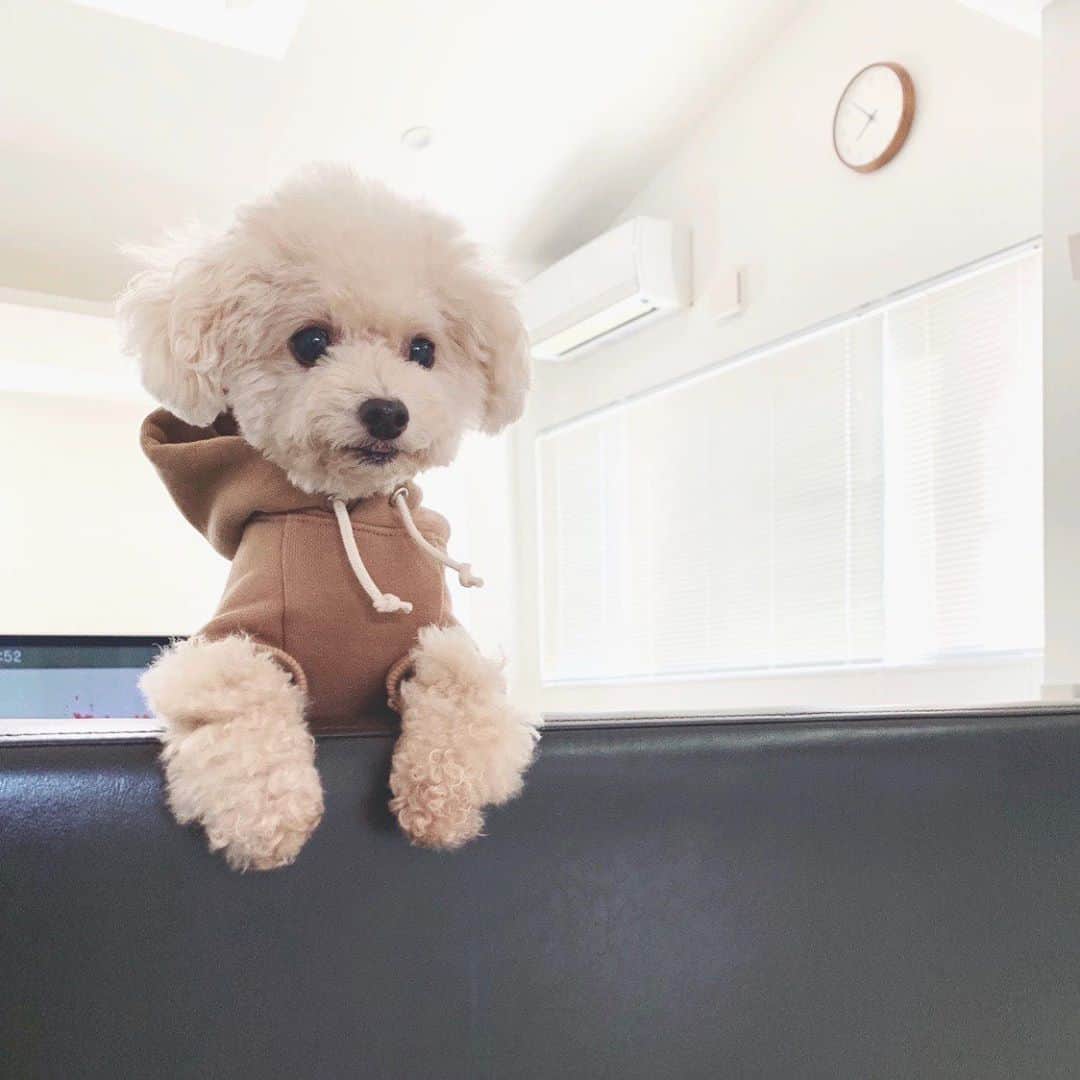 mizuのインスタグラム：「•ᴥ•  昨日のストーリーズ にたくさんのリアクションなどありがとうございました♡」