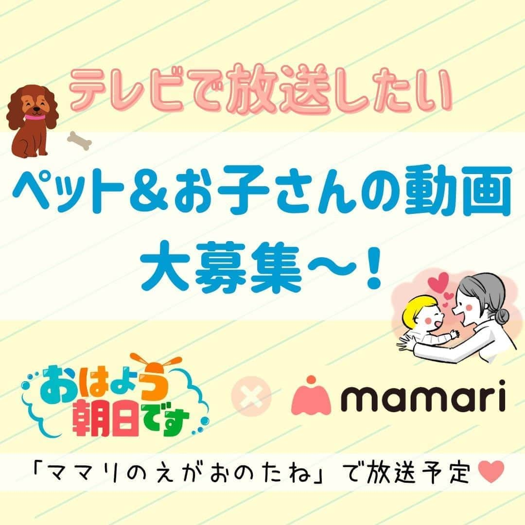 ママリさんのインスタグラム写真 - (ママリInstagram)「家族の時間とお子さんの動画をテレビで紹介したい人募集～👶❤ #おは朝ママリ⁠ .　⁠ ＝＝＝⁠ .　⁠ ＡＢＣテレビ 平日6:45～放送中！関西の朝の顔☀️「おはよう朝日です」であなたのお子さんの動画が流れる！🎥⁠ .　⁠ 今回ママリでは、お子さん＆ペットの動画を大募集！⁠ .　⁠ あなたのお子さんやペットの素敵な瞬間をテレビに流すチャンス⁠ .　⁠ 🎥 チャレンジ成功（失敗もOK）⁠ 🎥 おもわずクスッな出来事⁠ 🎥 はじめての○○⁠ 🎥 かわいすぎた動画⁠ 🎥 〇〇に夢中⁠ 🎥 まさかのハプニング！⁠ .　⁠ .　⁠ ママやパパならではの目線で素敵な時間や笑える時間、記念に残しておきたい時間を動画に収めてぜひ投稿してください❤⁠ .⁠　⁠ 選ばれた動画はＡＢＣテレビ 平日朝6:45～8:00（10/5以降は5:00〜8:00 放送予定）⁠ 放送中「おはよう朝日です」内の新コーナー「ママリの“えがおのたね”」（10月5日スタート予定）で紹介させていただきます⁠ .　⁠ ＝＝＝⁠ .　⁠ 👇 応募は簡単1ステップだけ 👇⁠ 応募したい動画に #おは朝ママリ をつけるだけ！⁠ 何回でも、ママ・パパなら誰でも応募OK💌⁠ .⁠　⁠ 【お住まいの都道府県】【ご自身のニックネーム】【お子さん(ペット)のニックネーム】を添えていただけると嬉しいです😇❤️⁠ ぜひ、撮影時のエピソードや想いなども併せて教えてくださいね！⁠ .⁠　⁠ ※動画は音声付きで撮影したもので「20秒～60秒」のものを推奨いたします⁠ ※動画は加工していないものを対象とさせていただきます⁠ ※指定のハッシュタグがない場合は選考の対象外となります⁠ ※非公開アカウントの場合は投稿が確認できません。投稿したアカウントを公開していただくか、公開アカウントを別途ご用意いただくようお願いします⁠ ※過去投稿へ指定ハッシュタグを追記した場合、投稿を確認できない場合がありますのでご了承ください⁠ .　　⁠ ＝＝＝⁠ .　　　　　　　⁠ ＜採用連絡＞⁠ .　　　⁠ 採用者へは @mamari_editor アカウント より直接ご連絡いたします。⁠ .　　　　　⁠ 採用された方には「おはよう朝日です」番組オリジナルグッズをプレゼント～♡⁠ （※国内在住者に限定させていただきます🙏）⁠ .　　　⁠ みなさんのご応募お待ちしております🌈⁠ .⁠ ⁠ ＜投稿・採用に関する注意事項＞⁠ 1. 動画採用の選考はＡＢＣテレビ及びママリ運営事務局が独自に行います。また、詳細についてはお答えしかねます。⁠ 2. 採用連絡は採用者へのみ行います。その際に、動画ファイルの送付をお願いする場合がございます。⁠ 3. 当選された動画はＡＢＣテレビ「おはよう朝日です」での放送や、⁠ ＡＢＣテレビがPRのために放送やホームページ掲載などあらゆる形で使用するほか、ママリ、KDDIが運営する各メディア、及びSNSアカウントでも使用させて頂く可能性があります。⁠ 投稿された時点でテレビ放送、メディア、SNSでの使用に無償で許諾を得たものとします。⁠ 4. 放送、メディア、SNSでの使用にあたって、映像、音声の編集・加工を行うことがあります。⁠ 5. 投稿される動画は投稿者本人が撮影したものに限ります。⁠ 6. 人を中傷するもの、差別的なもの、不快感を与えるものは投稿できません。また、著作権、肖像権、名誉、プライバシーなど第三者の権利を侵害するものも投稿できません。⁠ 7. 許可されていない場所で撮影されたもの、または、許可されていないものを撮影した動画は投稿できません。⁠ 8. 法令等に違反または違反を助長するのは投稿できません。⁠ 9. 反社会的勢力（暴力団、暴力団員、暴力団準構成員、暴力団関係企業、総会屋、社会運動等標ぼうゴロ、特殊知能暴力集団、その他これらに準ずる団体及び者をいいます。以下同じ）に該当し、または反社会的勢力との間に社会的に非難をされる関係を有する方の投稿はお断りします。⁠ 10. 投稿者ご自身のお子さん（ペット）以外のお子さん（ペット）の映像を投稿される場合は、そのお子さんの保護者、ペットの飼い主の同意・許諾を得て下さい。⁠ 11. 撮影の過程で生じた人身、物品に関する損害および第三者に与えた損害、投稿者ご自身のお子さん（ペット）の撮影動画で生じた問題、損害に関して、ママリ運営事務局、ＡＢＣテレビは一切責任を負いかねます。⁠ 12. 本規約は予告なく変更される場合があります。⁠ .⁠ .⁠ #親バカ部男の子#親バカ部女の子#育児あるある⁠ #赤ちゃんあるある#赤ちゃんがいる生活⁠ #赤ちゃんのいる暮らし#赤ちゃんのいる生活⁠ #赤ちゃんの笑顔#子育てグラム#赤ちゃんがいる暮らし⁠ #ママあるある#子育て中ママ#子育てあるある⁠ #新生児#0歳#1歳#2歳#3歳#4歳#朝時間⁠ #赤ちゃん動画#はじめて記念日#赤ちゃんあるある⁠ #癒やしの時間 #おはよう朝日です#おは朝#ABCテレビ #ママリ⁠ ⁠ ⁠」9月16日 16時00分 - mamari_official