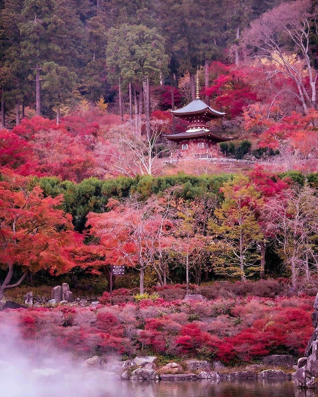 Canon Photographyさんのインスタグラム写真 - (Canon PhotographyInstagram)「Who is ready for autumn? 🍂 Photography // @traveler_sui Curated by @steffeneisenacher  #japan #autumn #fallfoliage #leafs #falltime」9月16日 16時17分 - cpcollectives