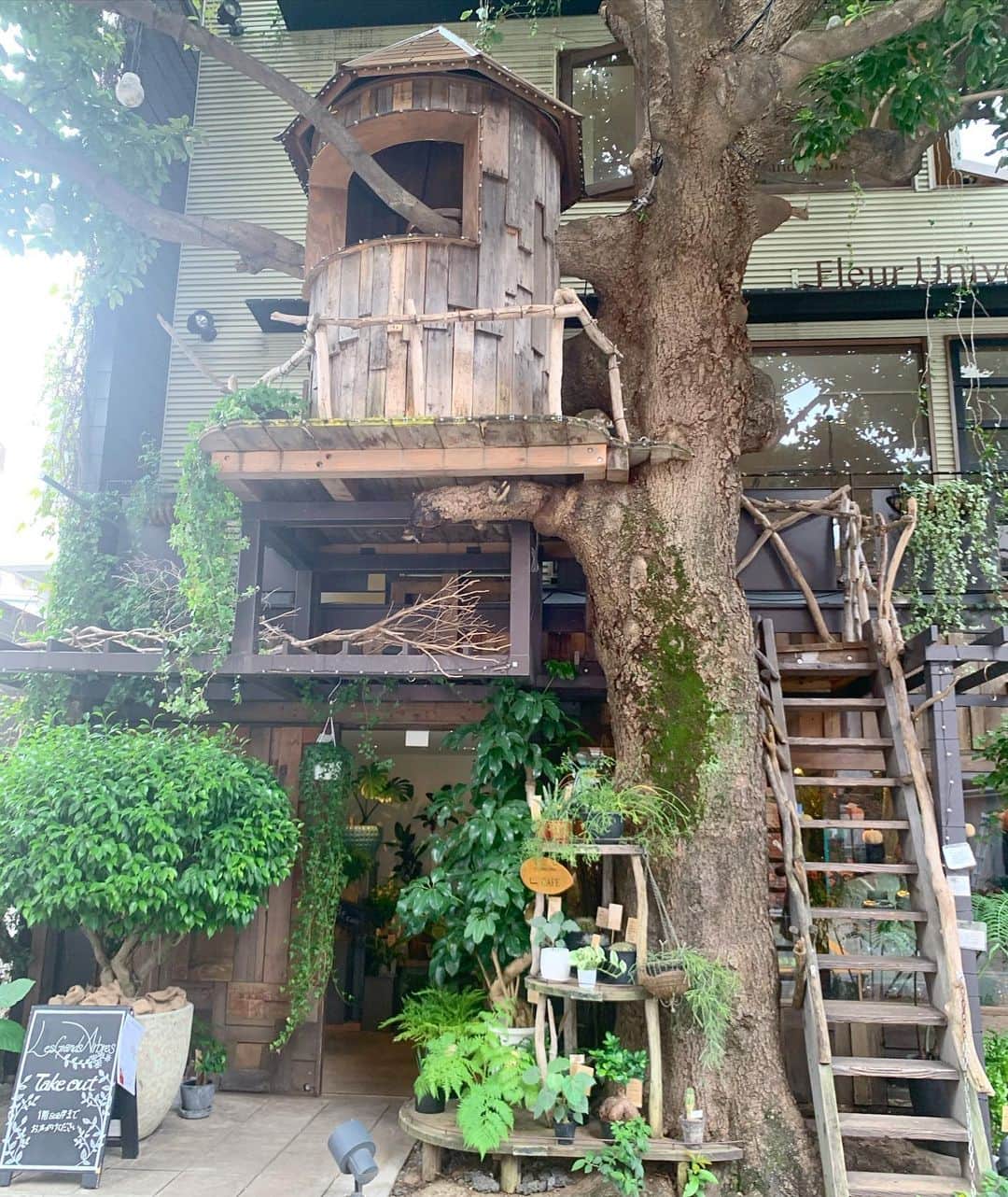 天宮菜生のグルメインスタ