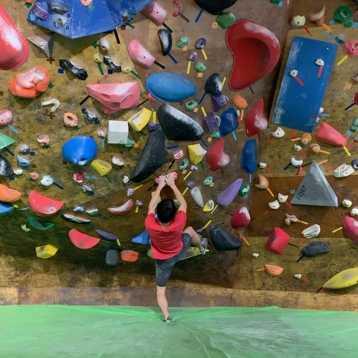 大高伽弥のグルメインスタ