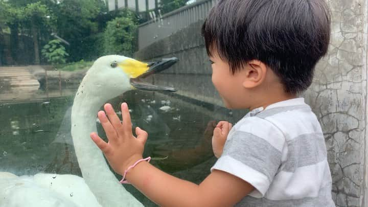 氷浦紫のインスタグラム