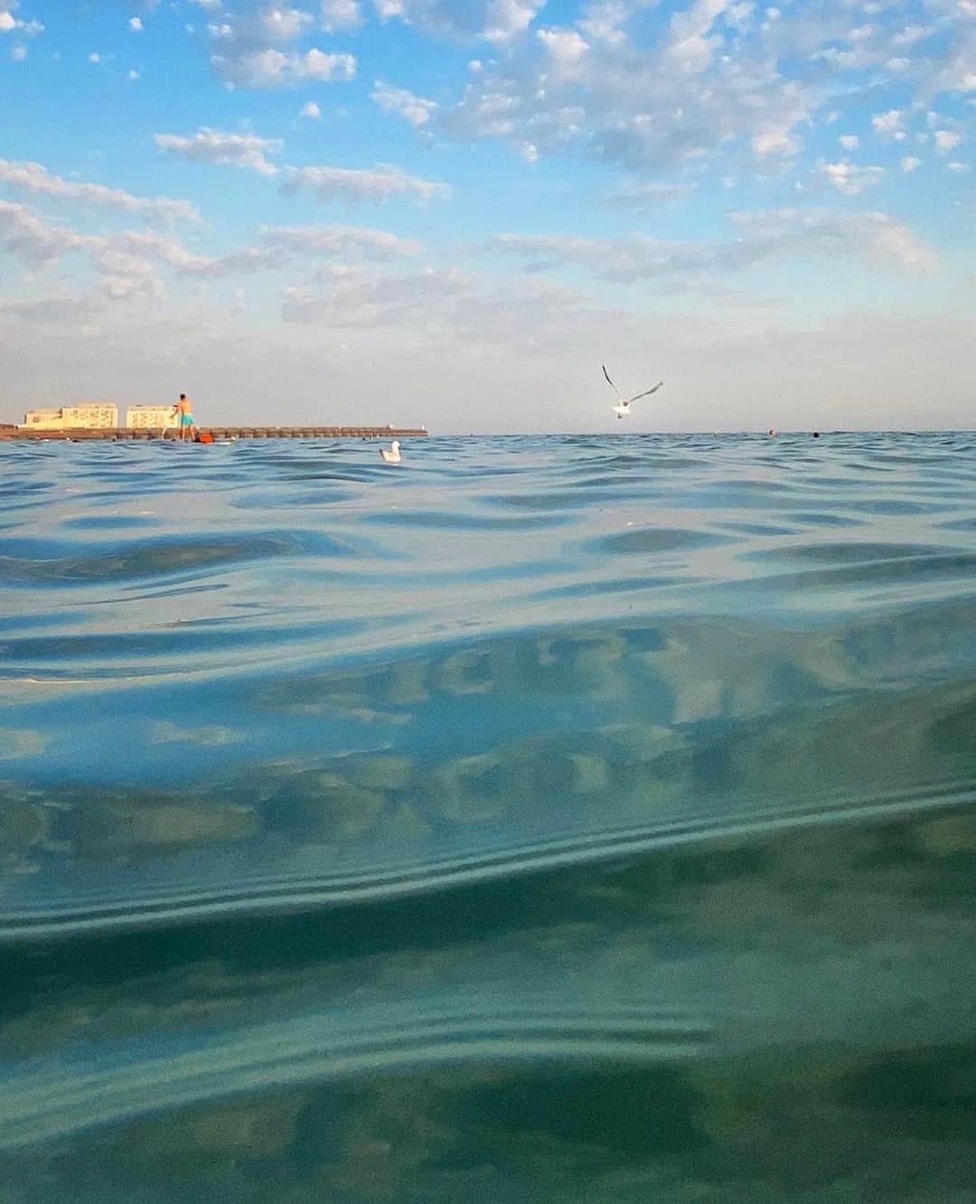 Tea and sittingのインスタグラム：「🌊...swimming in the sea last night was such an amazing ‘reset’ and rediscovering the joys of my waterproof iPhone case with @sophieabbottartist made it even better! 💙」