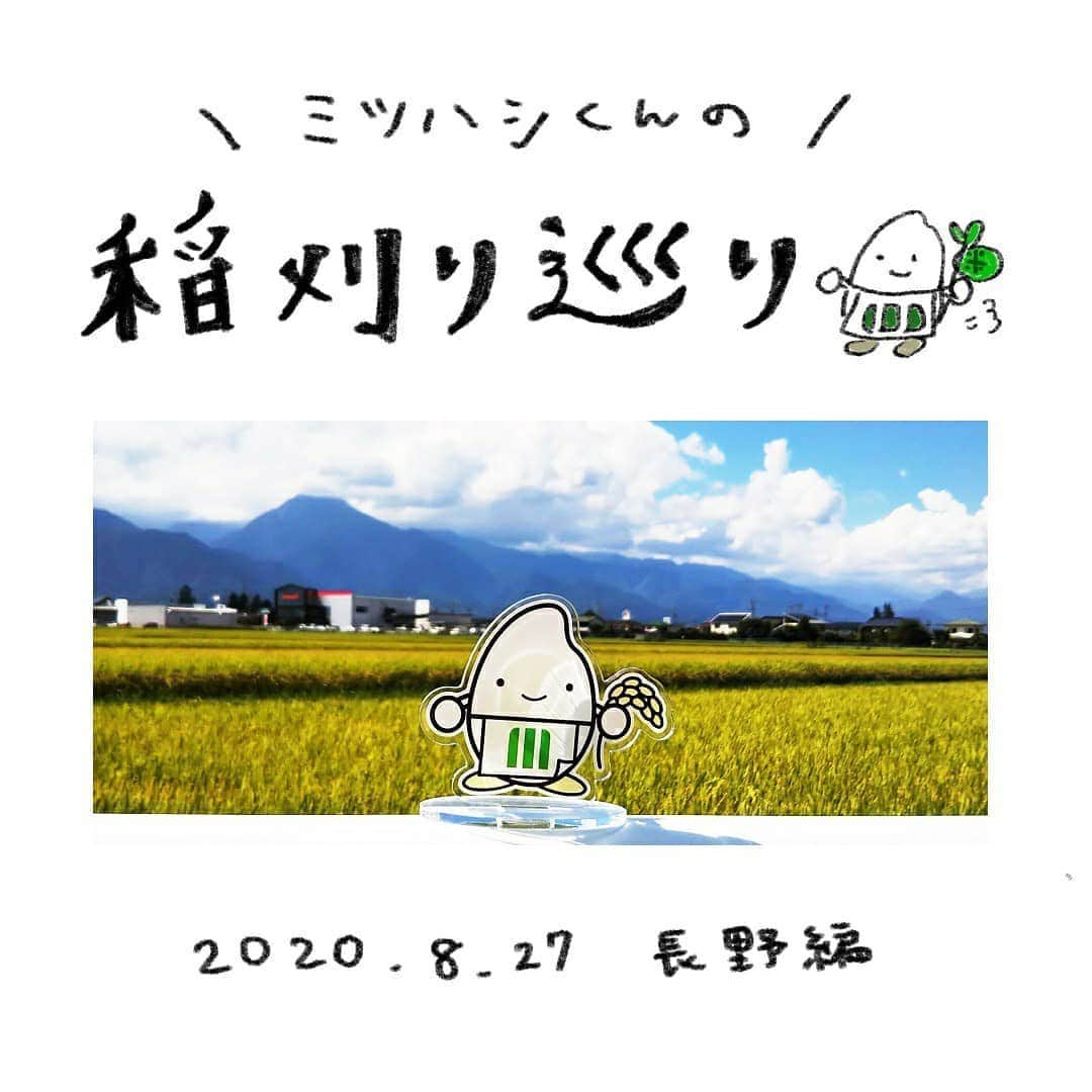 ミツハシくん-Mitsuhashi Rice-のインスタグラム