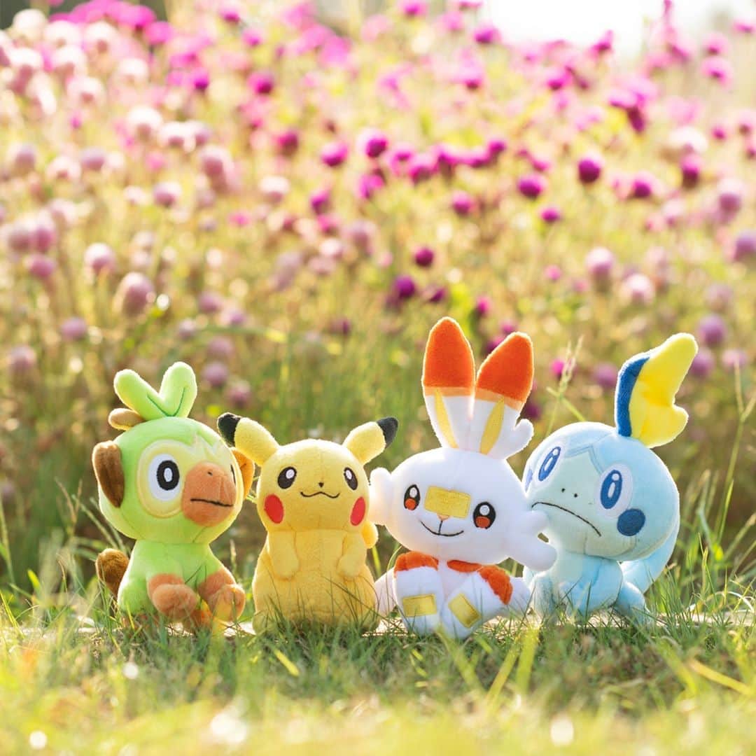 ピカチュウ公式Instagramのインスタグラム