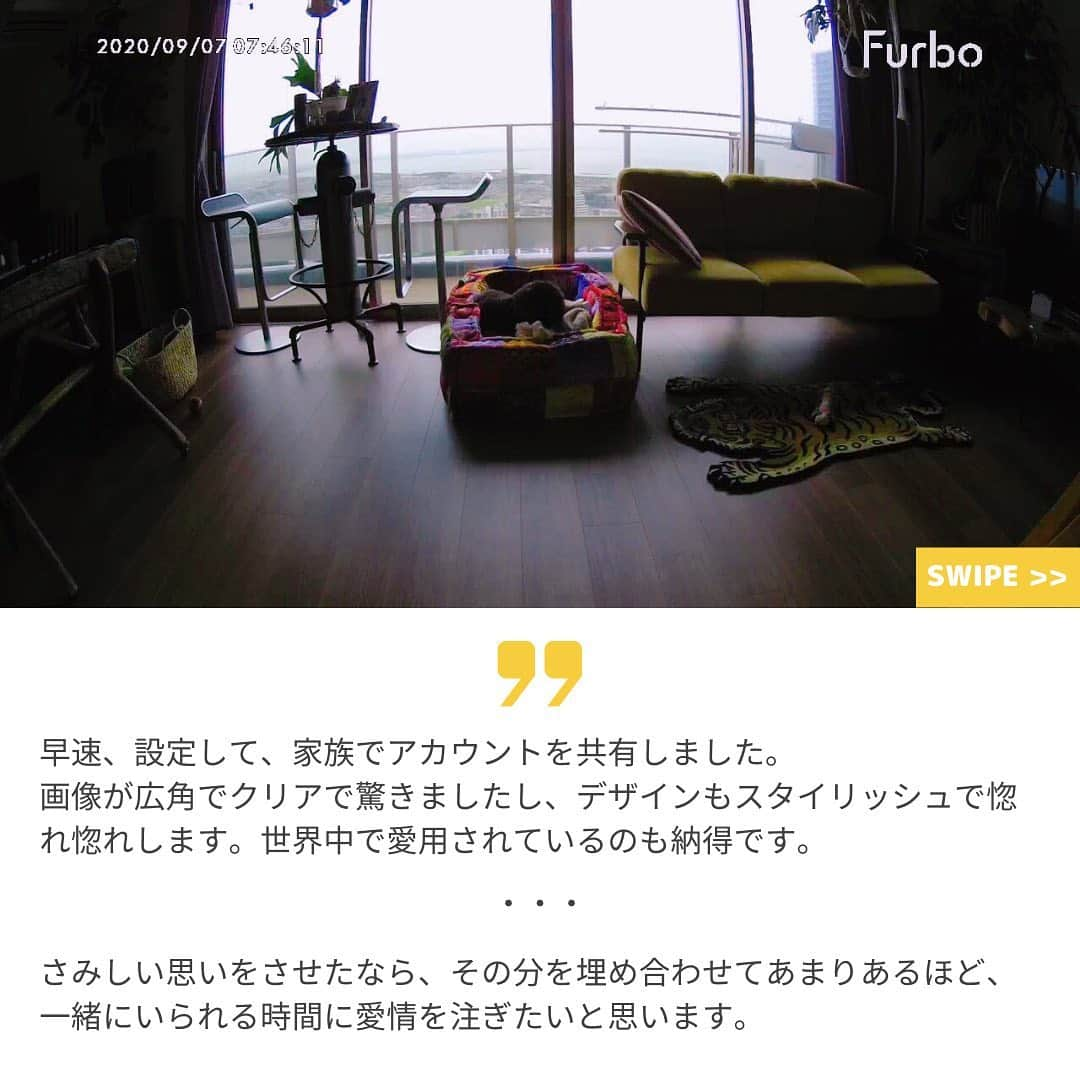 Furbo ドッグカメラさんのインスタグラム写真 - (Furbo ドッグカメラInstagram)「【Interview with New Family💛 No.1】⁠⠀ 現在実施中の #save101dogs キャンペーンをきっかけに、新しいご家族とお結びのあったアルファちゃん☺️⁠⠀ ⁠⠀ アルファちゃんを迎え入れた岩下家へFurboを贈呈させていただいところ、愛情いっぱいの素敵なメッセージを頂戴することができました😌💓⁠⠀ ⁠⠀ ▶︎ 保護犬猫の置かれている現状を多くの方に知ってもらい、より多くの保護犬猫が素敵な家族と出会えるよう、#save101dogs というプロジェクトを実施中です💡⁠⠀ ⁠⠀ ▶︎ プロジェクトの詳細は、プロフィールのリンクやハイライトからご確認いただけます✨⁠⠀ ⁠⠀ ▶︎ #save101dogs の主旨に賛同いただけた方は、キャンペーン関連投稿のシェアで是非応援よろしくお願いいたします🙇🏻‍♀️⁠⠀ ⁠⠀ ⁠⠀ #save101dogs ⁠⠀ #保護犬 ⁠⠀ #保護犬と暮らそう⁠⠀ #omusubiさとおや部 ⁠⠀ #ファーボ⁠⠀ #Furbo⁠⠀ #ドッグカメラ⁠⠀ #トイプードル⁠⠀ #toypoodle⁠⠀ #わんこのいる暮らし ⁠⠀ #いぬすたぐらむ ⁠⠀ #いぬのいる生活 ⁠⠀ #ふわもこ部」9月16日 18時01分 - furbo_japan