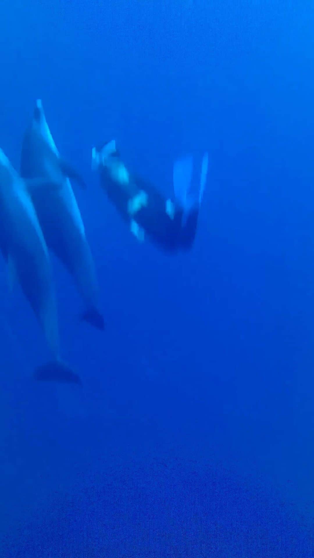 筒井菜月のインスタグラム