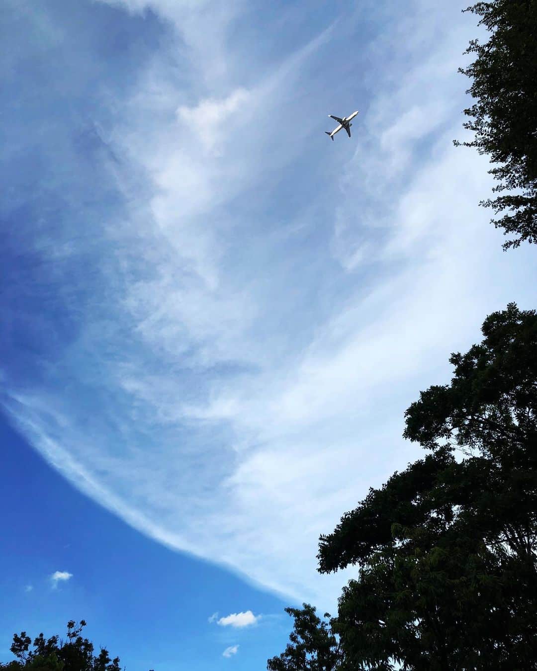 鈴木蘭々さんのインスタグラム写真 - (鈴木蘭々Instagram)「いつも通る交差点で今日は カメラのフレームに収まりきらないくらい大きな丸い不思議な雲に遭遇しました😲  モノクロにしたらとてつもなく地球に接近したお月様にも見える🌕👀  良い瞬間に出会しました☺️  #雲 #風の混じり合いによって作られる雲のアートは本当に無数だなぁ #凄いなぁ」9月16日 18時25分 - lanlan_suzuki