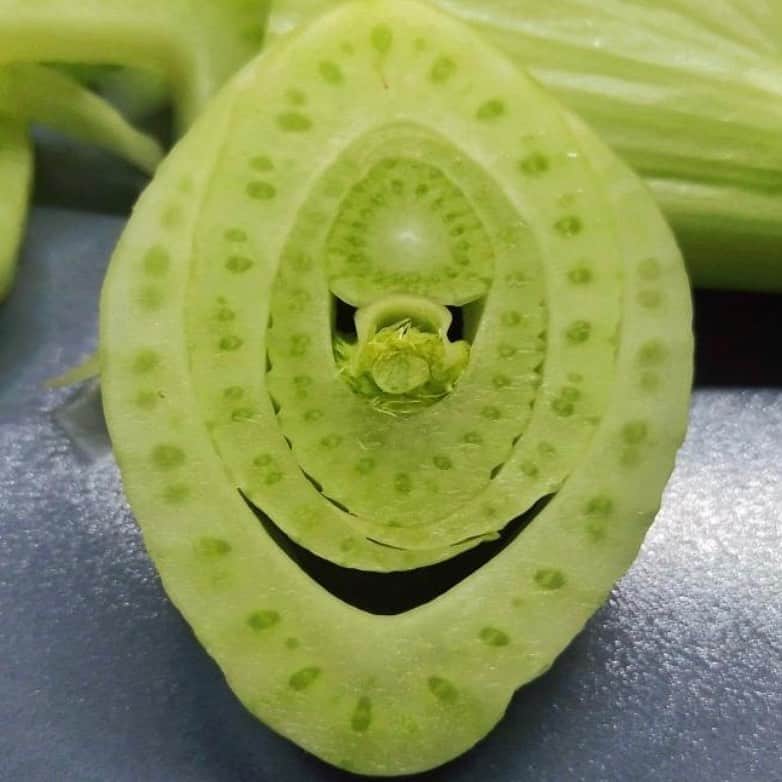 uglyfruitandvegのインスタグラム：「Celery is happy to see you! 😊 Pic by @boris.sees.faces #ISeeFaces」