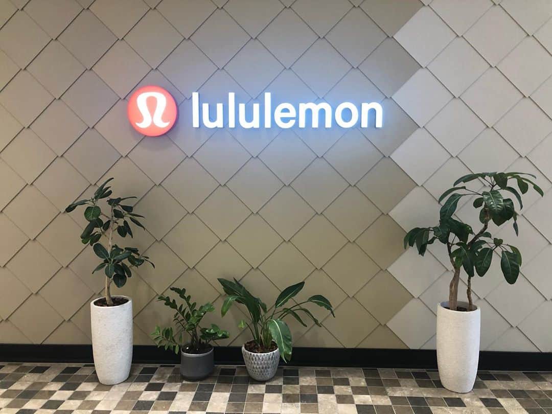 梅澤友里香さんのインスタグラム写真 - (梅澤友里香Instagram)「今日は朝イチ我がhome @lululemonjp 新宿ストアにてお仕事❤️ ・ 好きが仕事で 仕事が好き。 さらに大好きな人達と。 最高か🥺💕 ・ 朝からとても楽しかった💕 ・ #natrajasana 大好きなasanaの 一つなんですが、 昔の自分の写真に触発されて（笑） 久々にこの形の方のnatrajasana 。 （自分にしか分からないやつ？😂） ・ asanaもその時その時の納得する 気持ち良い方法がある。 久々の感じはとても気持ち良かった❤️ ・ 時間通りにお仕事終わり ストアオープン前にみんなとわちゃわちゃする時間も❤️ ・ 👨‍👩‍👧‍👦lululemon shinjuku family👨‍👩‍👧‍👦 @greyci_horita @daijiro.yamazaki @imtkrui ✨✨✨ 朝からとてもHappyな気持ち❤️ ・ lululemon来るとほんと元気になるよね。 新作のレギンスも可愛いでしょ❤️ lululemonは 新宿、六本木、原宿、銀座、川崎、御殿場アウトレット、 大阪、心斎橋 にあります❤️ ・ 是非行ってみてパワー貰ってね😍✨ ・ ・ #ルルレモン #一日一汗 #ルルレモン新宿 #lululemonambassador #新宿マルイ本館　 #オンラインヨガ  #インド占星術 #jyotish  #健康美 #インナービューティー #哲学 #占星術  #ヨガレッスン　  #vegan﻿  #ベジタリアン #organic ﻿ #yoga #yogainstructor #ヨガ #ヨガインストラクター #asana #美と健康 #beauty #health #yogalife  #naturalbeauty #model #fitnessmodel #yogini」9月16日 19時46分 - yurika_umezawa