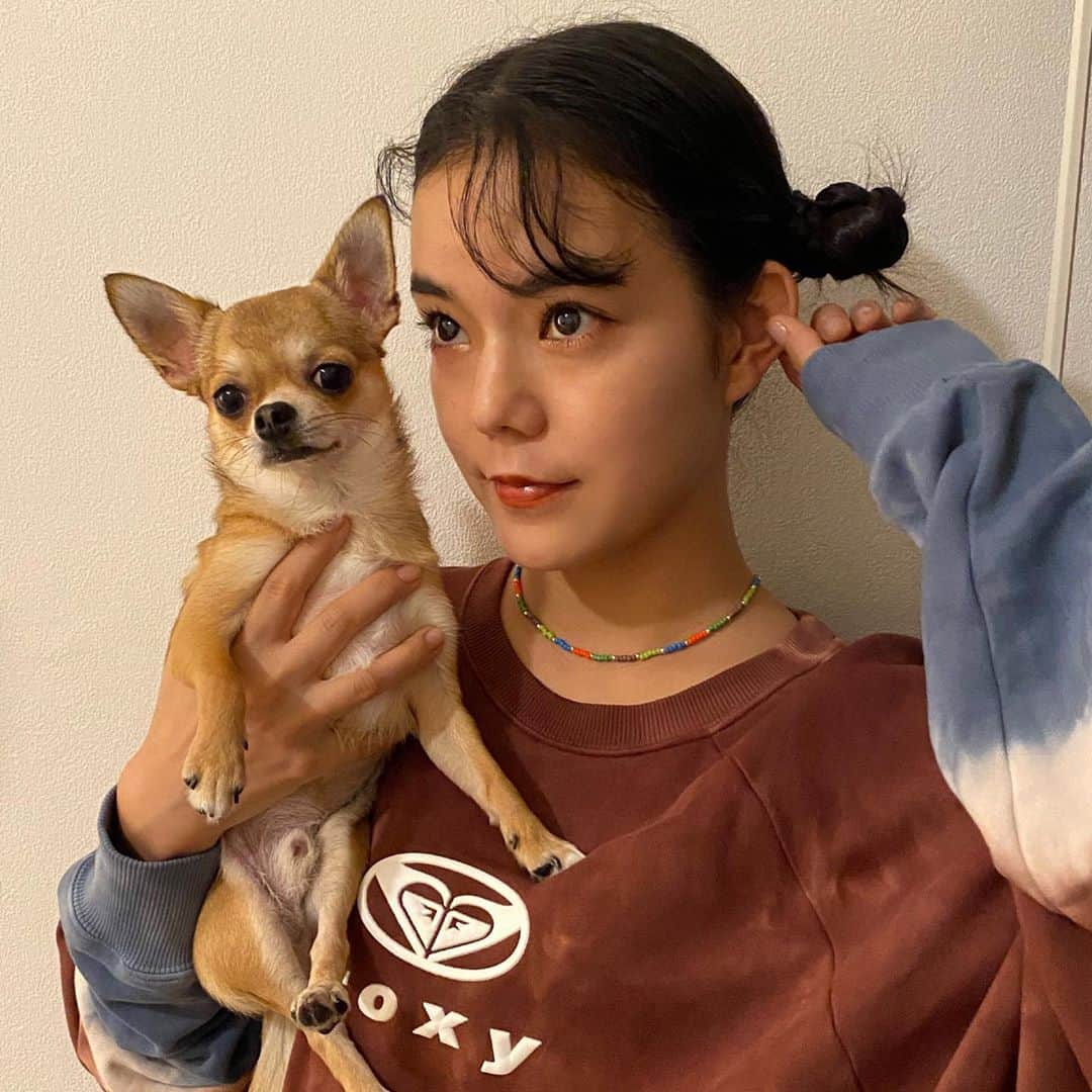 長澤メイさんのインスタグラム写真 - (長澤メイInstagram)「お気に入りのスウェットは @roxyjapan 🐕💕 カラフルビーズネックレスは @inohanachihiro が 作ってくれた🧡💛💚  ありがとう〜💕 #mei_outfit #roxyjapan #roxygirlssnap」9月16日 19時40分 - xxmeixx1208