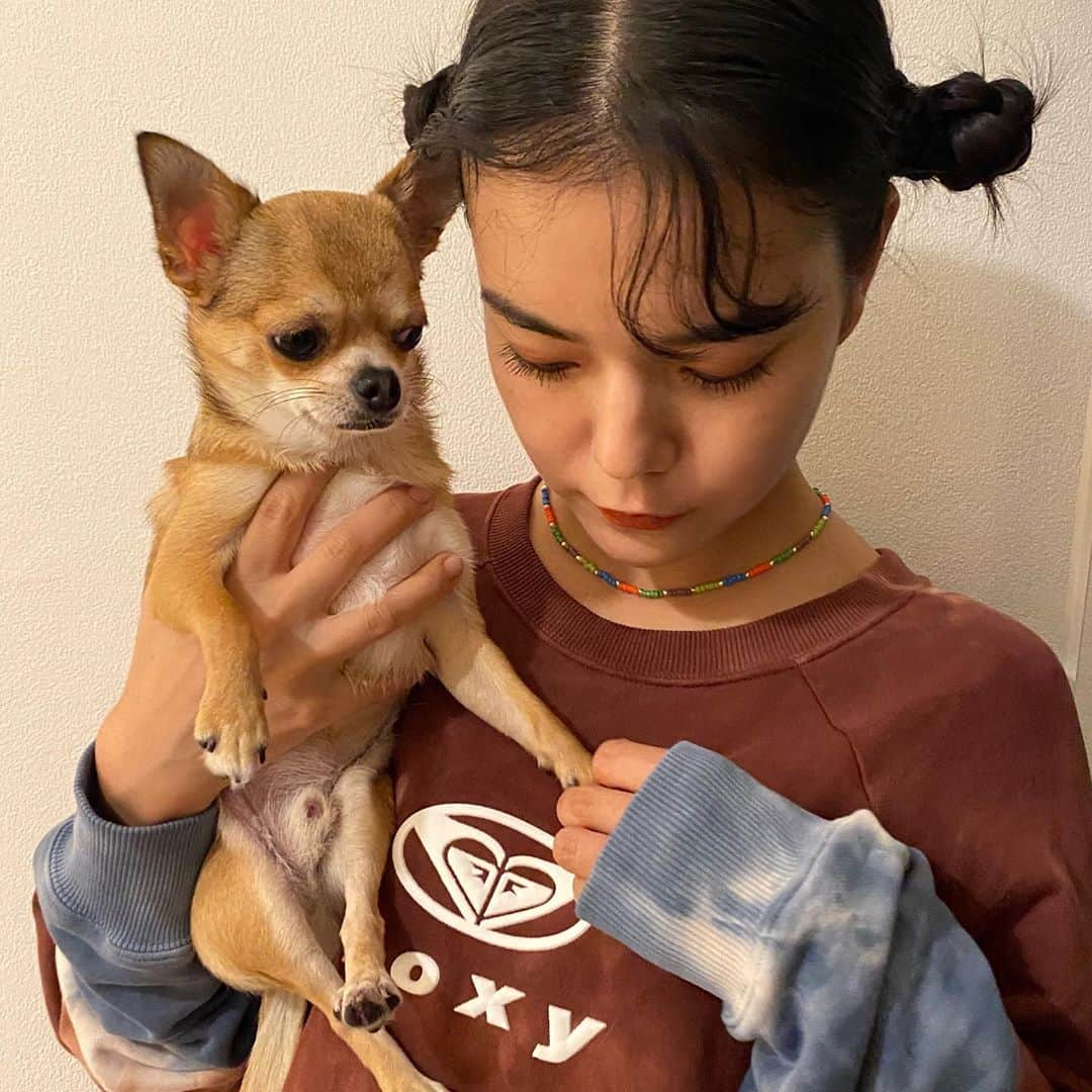 長澤メイさんのインスタグラム写真 - (長澤メイInstagram)「お気に入りのスウェットは @roxyjapan 🐕💕 カラフルビーズネックレスは @inohanachihiro が 作ってくれた🧡💛💚  ありがとう〜💕 #mei_outfit #roxyjapan #roxygirlssnap」9月16日 19時40分 - xxmeixx1208