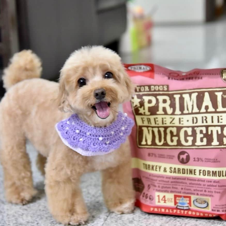 Truffle??松露?トリュフのインスタグラム