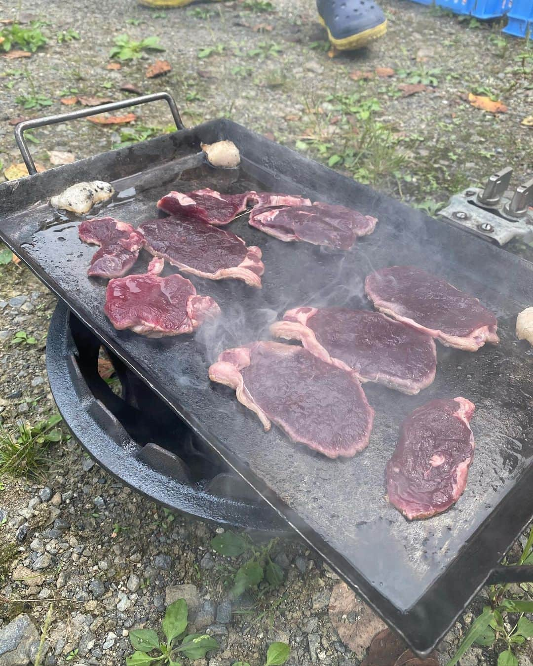 ニッチロー'さんのインスタグラム写真 - (ニッチロー'Instagram)「一斗缶焼肉を体験した後は  飯田焼肉の定番の鉄板焼肉！  肉はスズキヤさんのお肉！  鹿、猪、鴨、豚、サガリ、黒モツなど鈴木社長自ら焼いて頂きました🥩  遠山郷では油揚げを焼肉と一緒に焼くという文化があり新たなる発見！  肉の美味しい油が染み込んだ油揚げに肉を包んで食べるというこの至高の食べ方に脱帽！  ビールケースの新たな活用も発見！  飯田焼肉の歴史と可能性を学べた焼肉になりました  スズキヤさんご馳走様でした！  #肉のスズキヤ #スズキヤ #スズキヤニッチロー ' #ニッチロー ' #ニックロー #ニッチ飯 #飯田焼肉大使 #焼肉 #外焼肉 #ジビエ焼肉 #飯田焼肉 #日本一の焼肉の街  #飯田市 #遠山郷  #南信濃 #酒は喜久水  #yakiniku #yakinikucity #iidacity」9月16日 20時03分 - nicchiro5.1