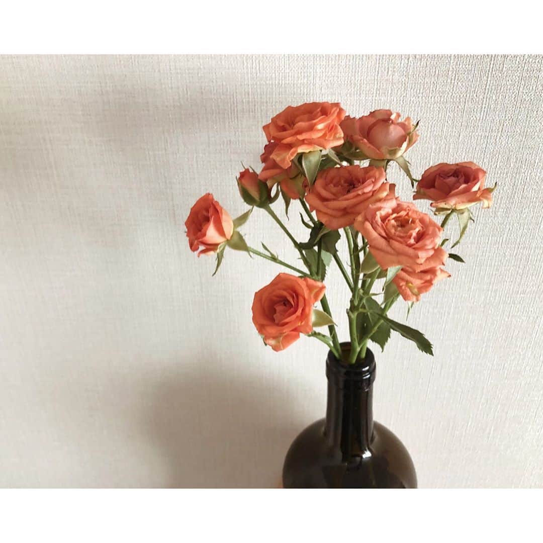 太田彩乃のインスタグラム