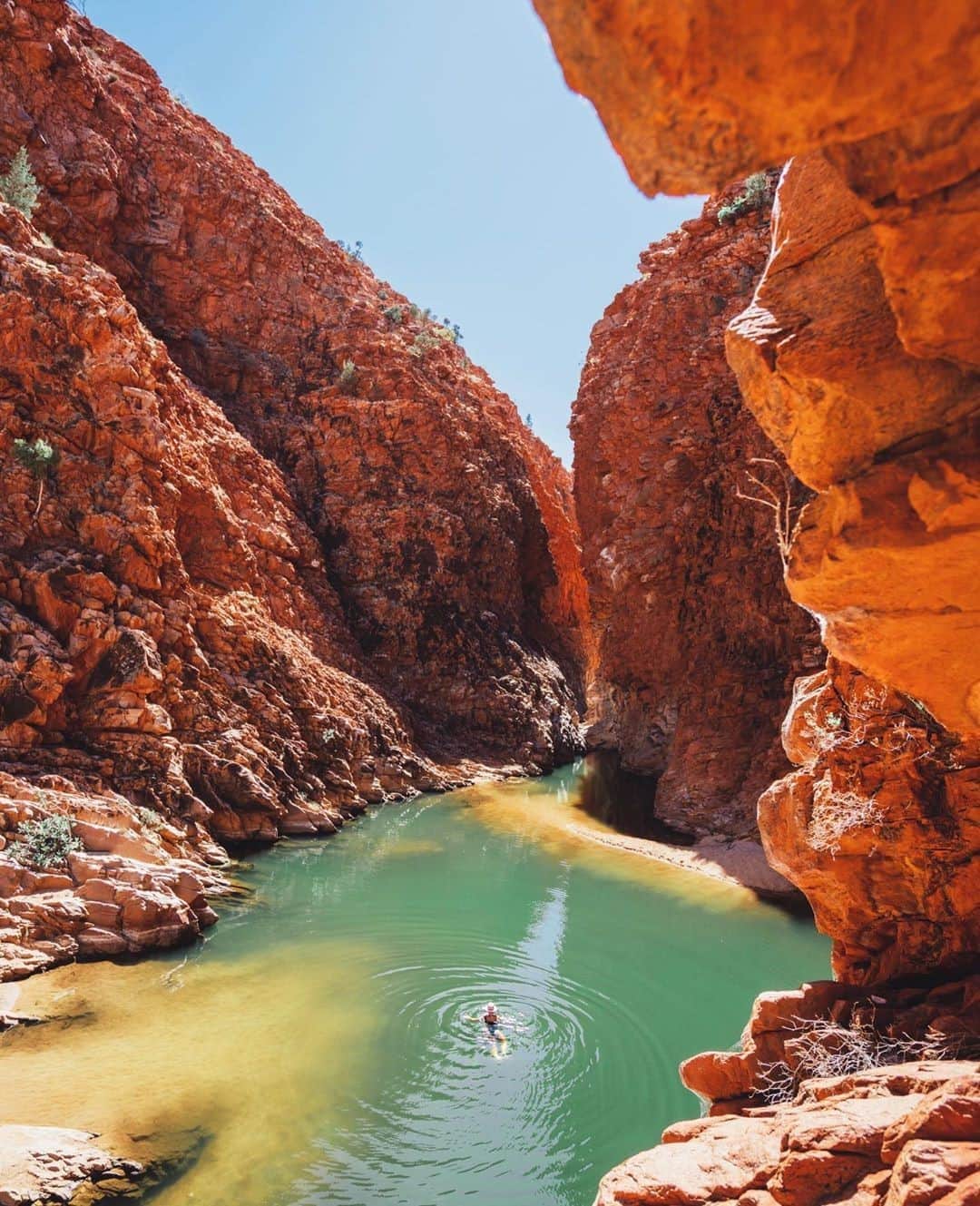 Australiaさんのインスタグラム写真 - (AustraliaInstagram)「Double-tap if you’d rather be in the @ntaustralia today! 🧡💚 When visiting @westmacdonnellnationalpark, @kendallbaggerly made it her “mission to find the best waterhole” in the area and after seeing her photo of her dip at #RedbankGorge, we’d say her search was a success! Located about an hour's drive from the @visitcentralaus town of #AliceSprings, this photogenic spot is an excellent place to stop by and cool off when road tripping to Uluru-Kata Tjuta National Park along the #RedCentreWay. #seeaustralia #ntaustralia #RedCentreNT」9月16日 20時00分 - australia