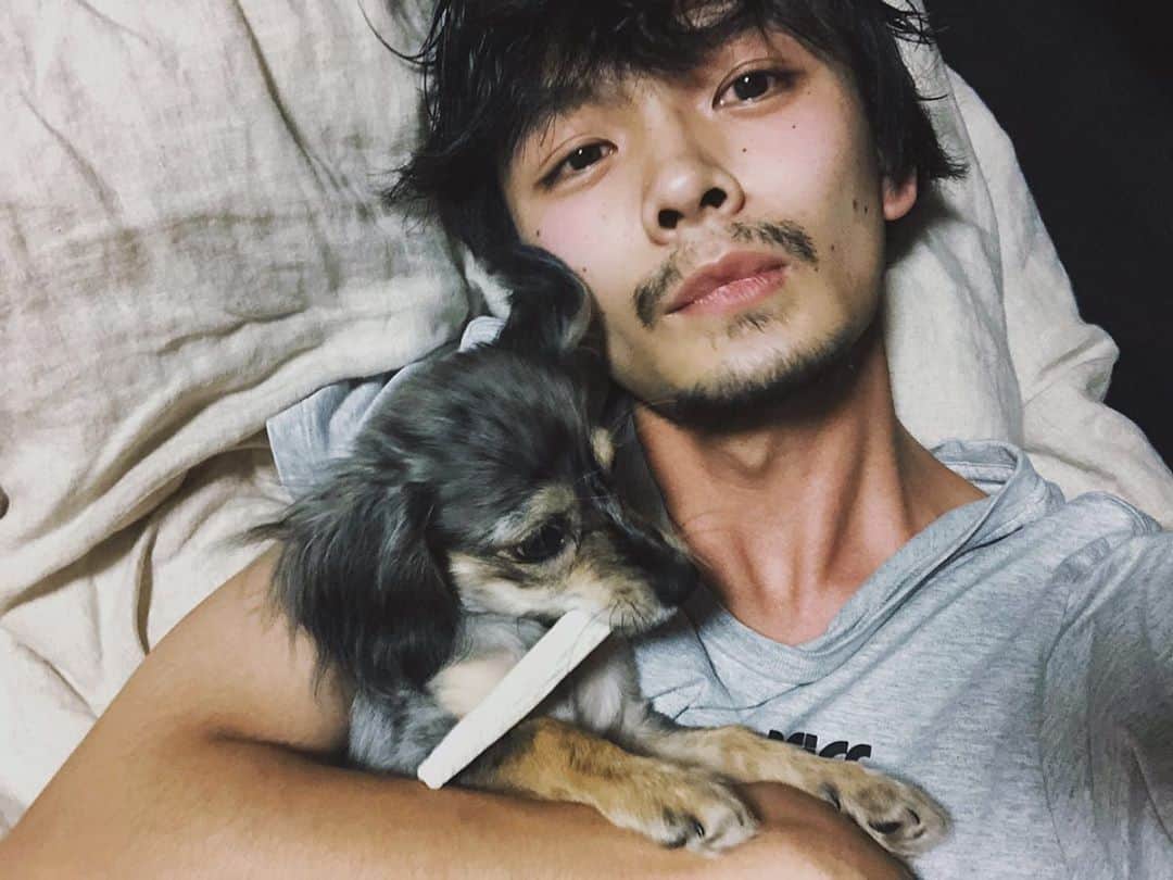 長坂 睦生のインスタグラム：「なかなか一緒に上手く撮れんな  #犬 #ふわもこ部 #愛犬 #わんこ #ペット #いぬすたぐらむ #ワンコ #犬のいる暮らし #チワックス #チワワ #ダックス #dog #puppy #pet #dogstagram #animal #pets #petstagram #doglover #doggy #mydog」