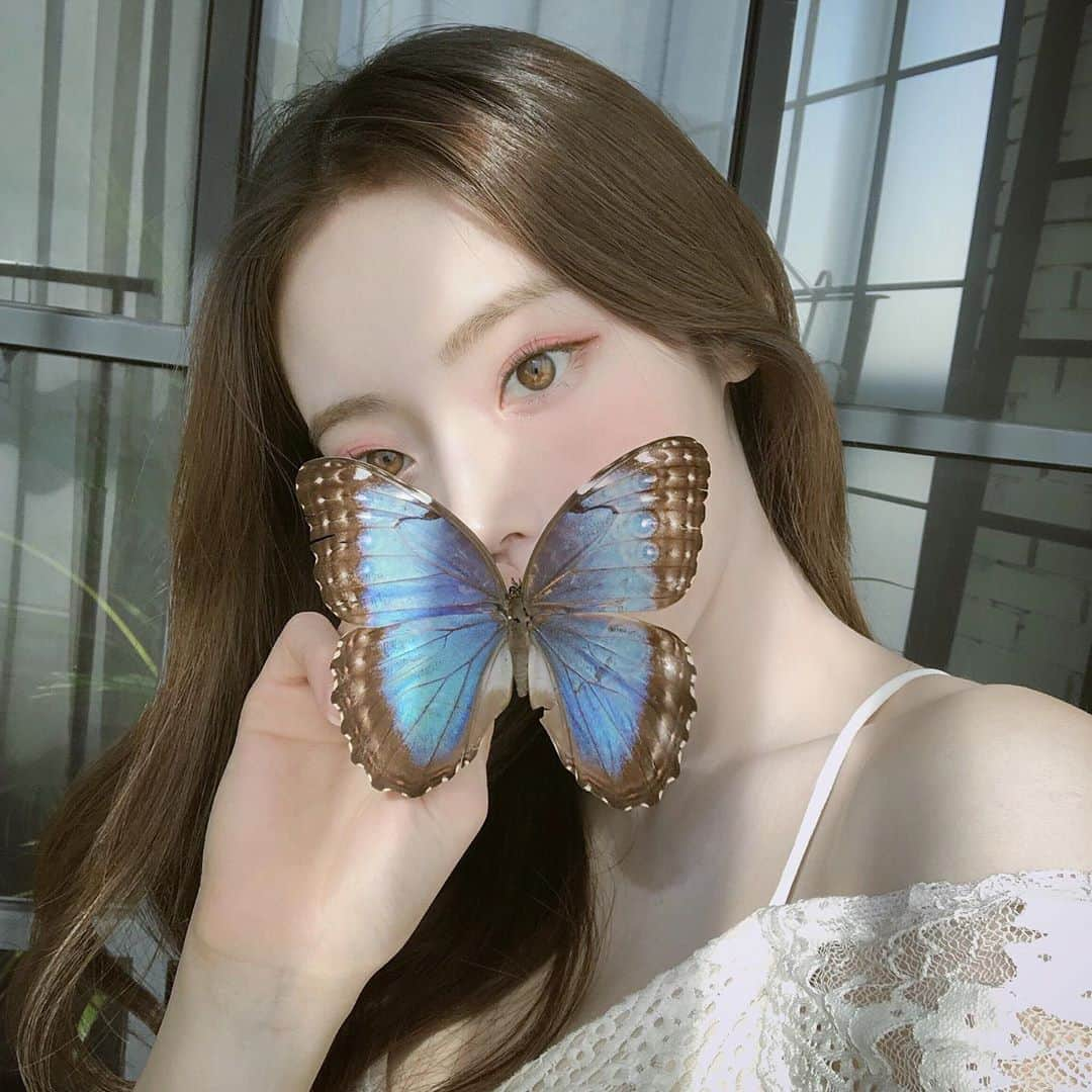 キム・チョンアさんのインスタグラム写真 - (キム・チョンアInstagram)「🦋사진 사용문의 많은데 사칭이나 상업적용도로 사용하는거 아니면 괜찮아요 👏🏻」9月16日 21時17分 - 94_j.a